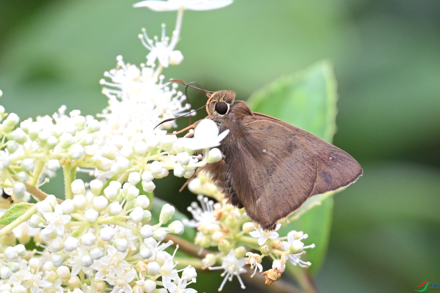 DSC_2458.JPG