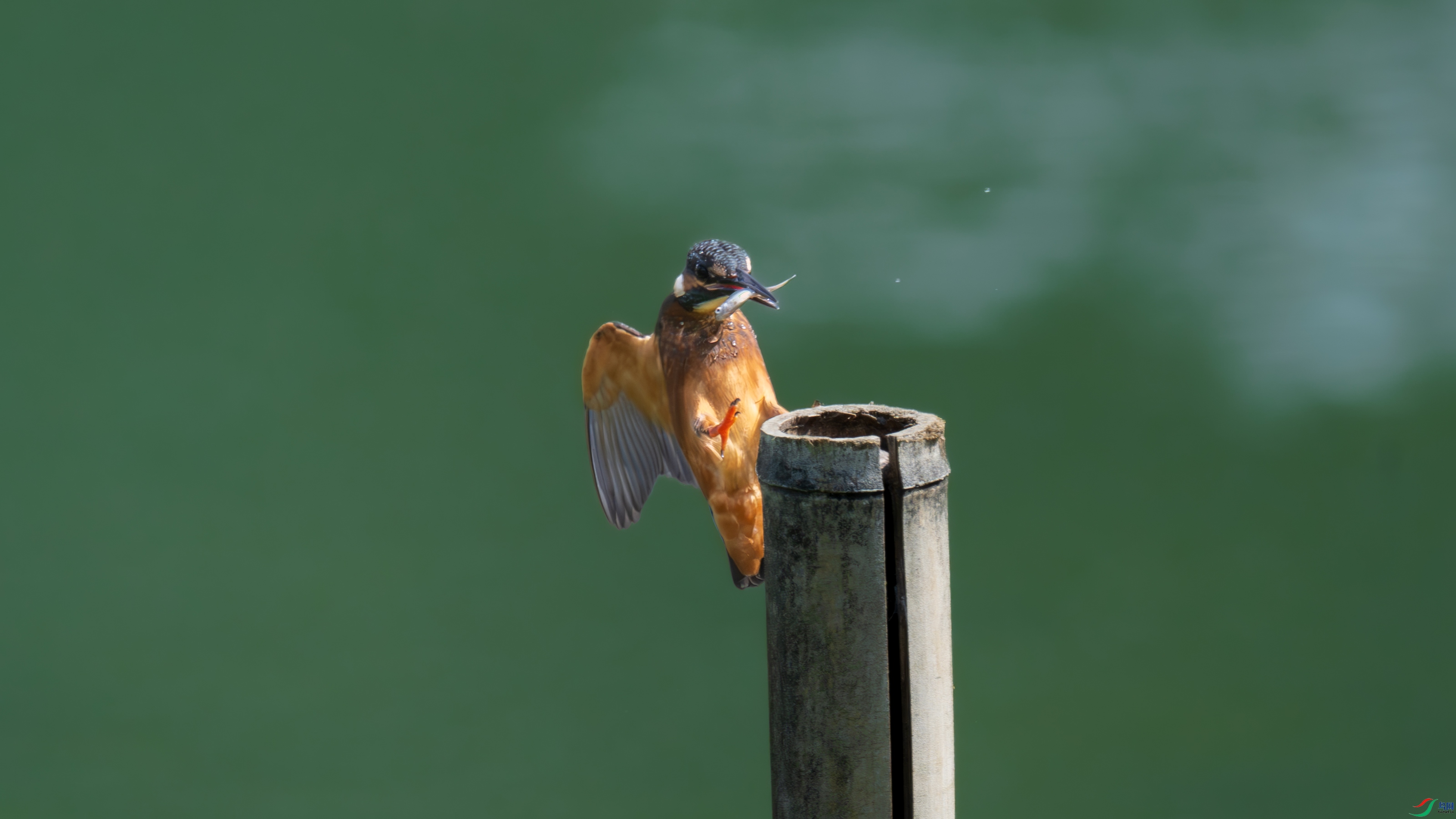 DSC_6628.jpg
