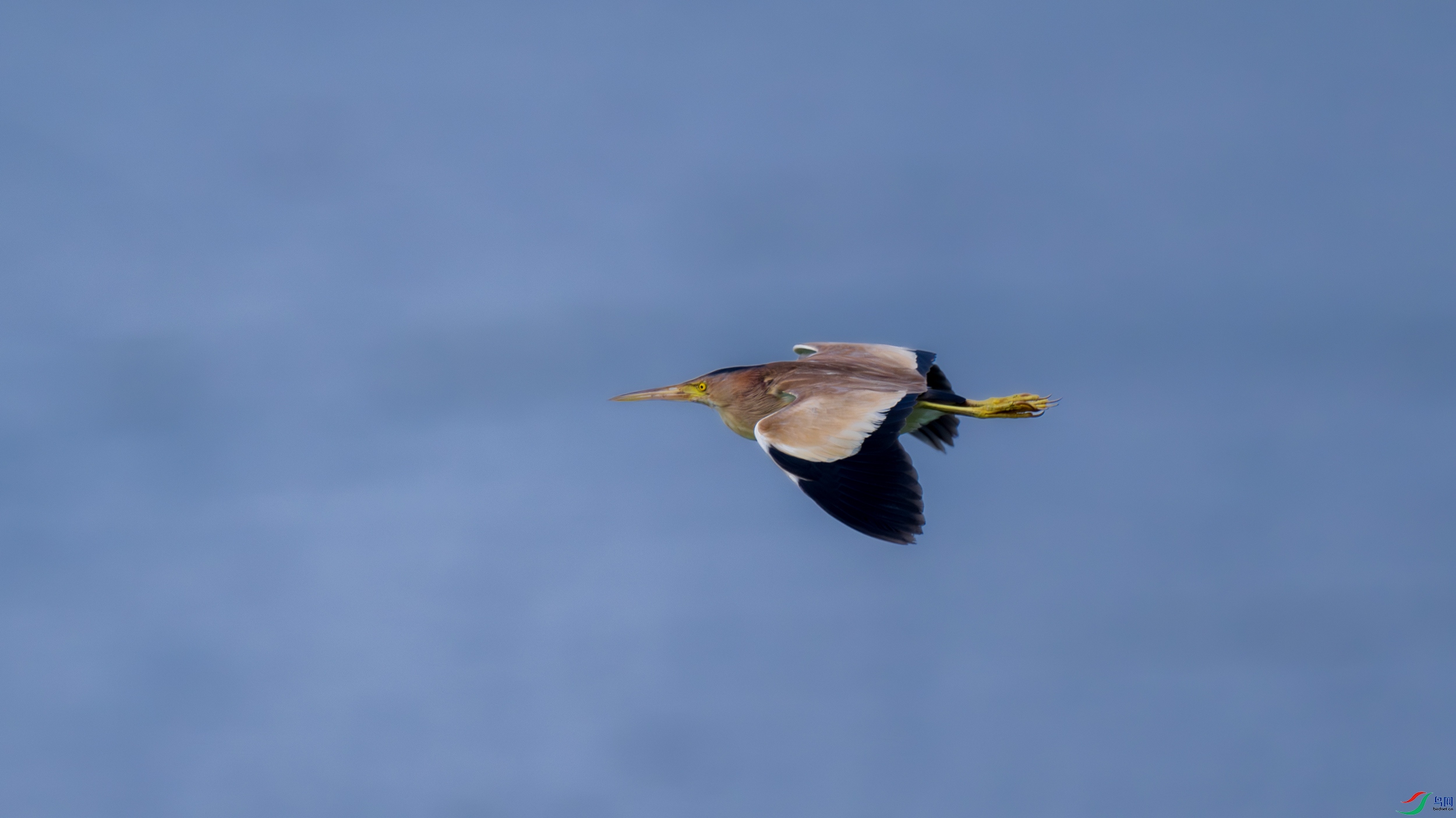 DSC_6438.jpg