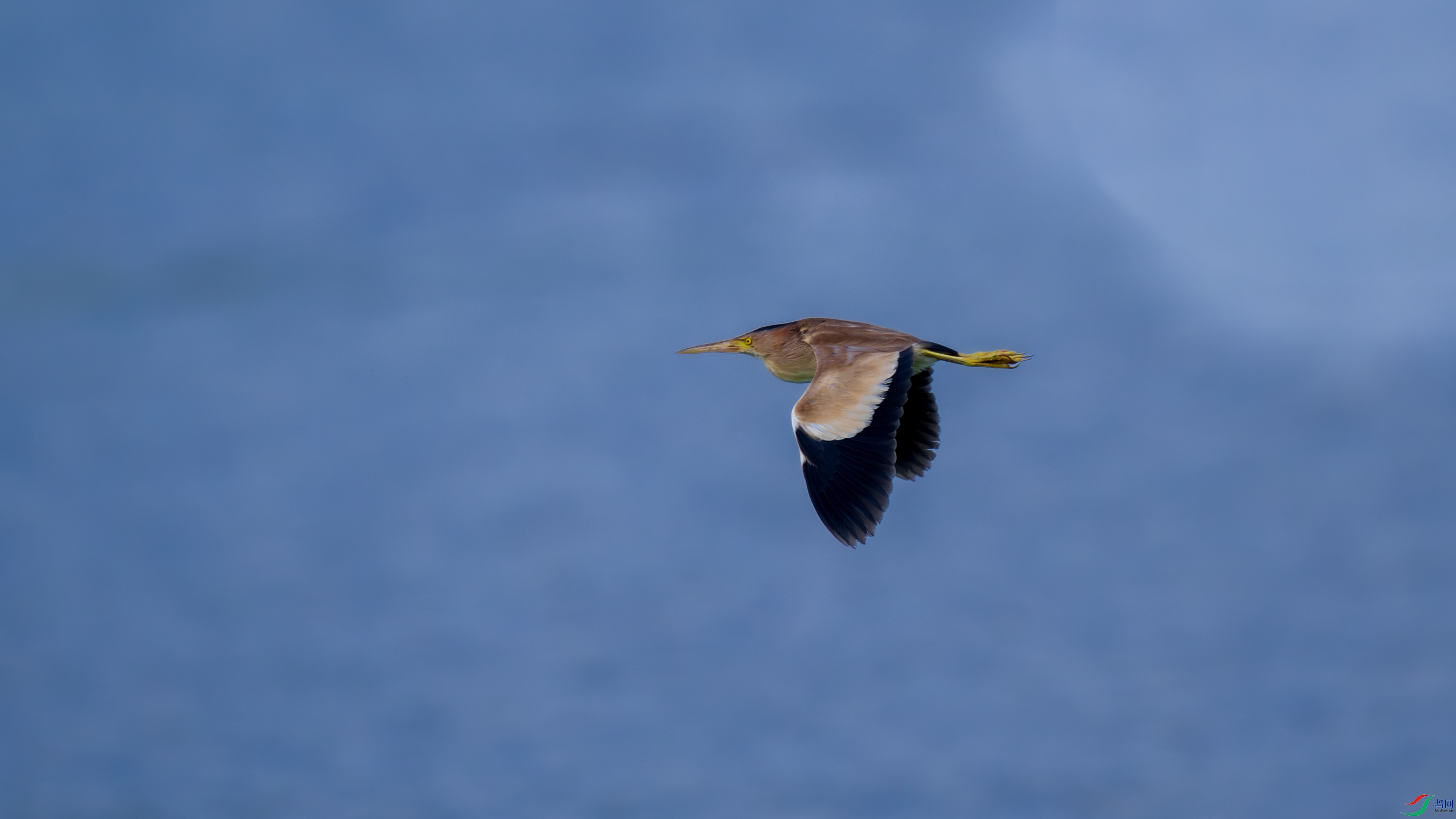 DSC_6445.jpg