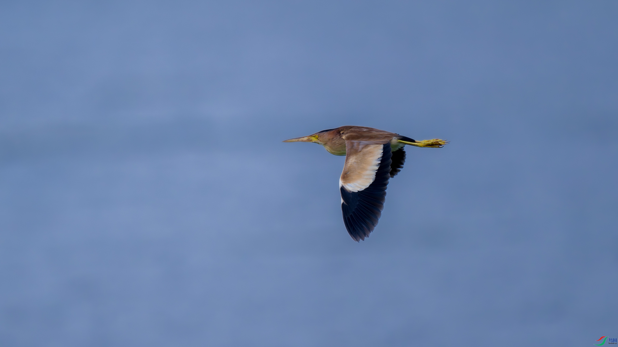 DSC_6437.jpg