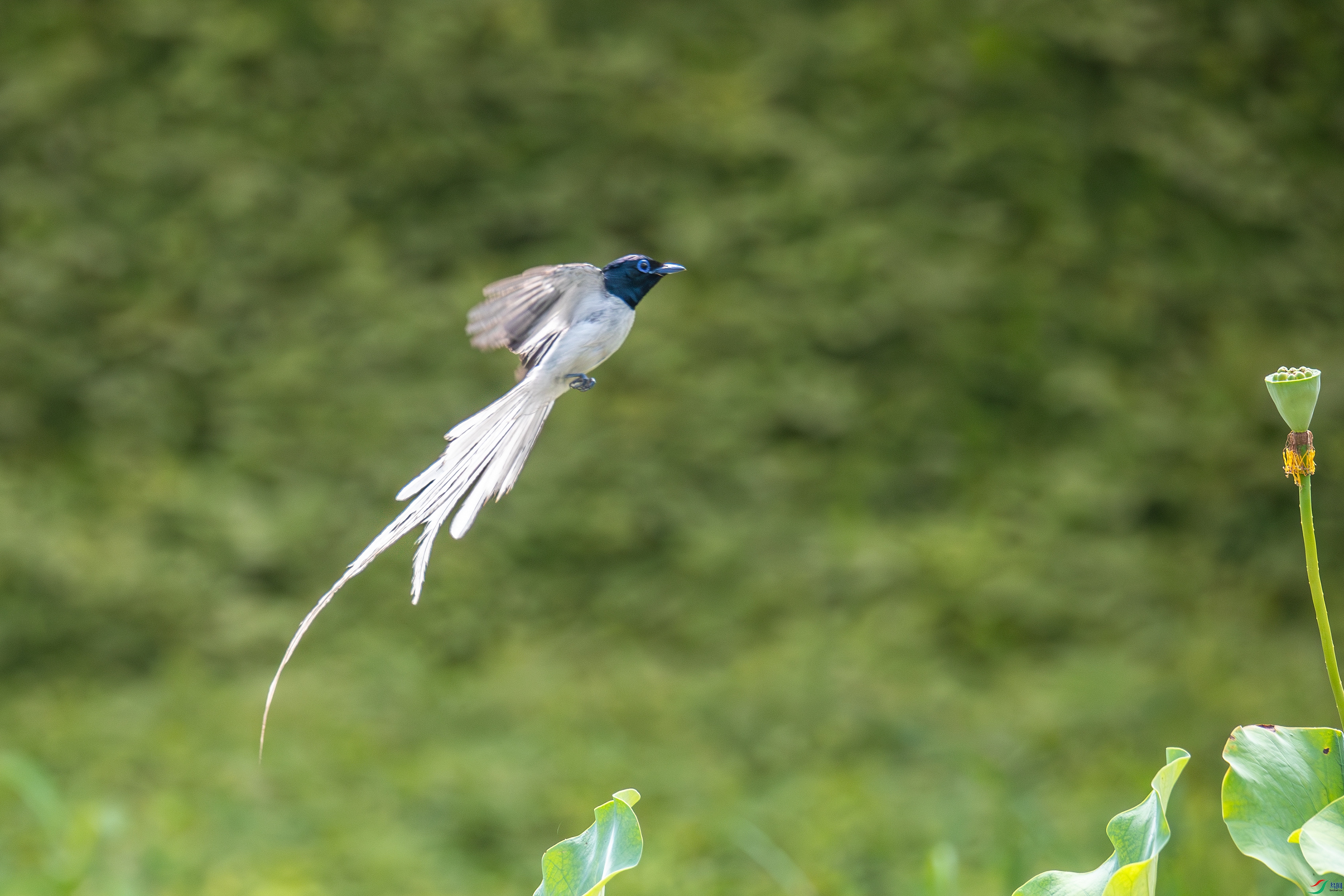 AV6I8809VIP26-8-19.jpg