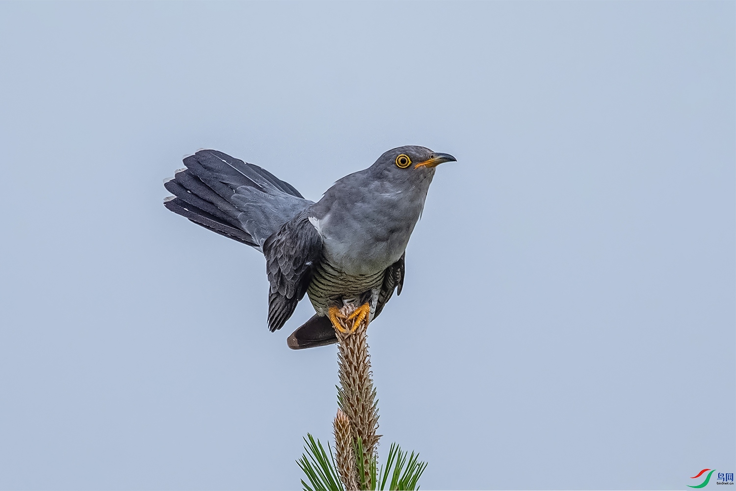 DSC_1312.jpg