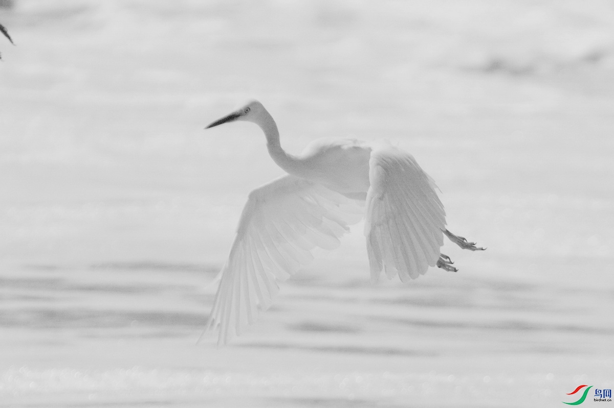 _DSC7203zxx_������С.jpg