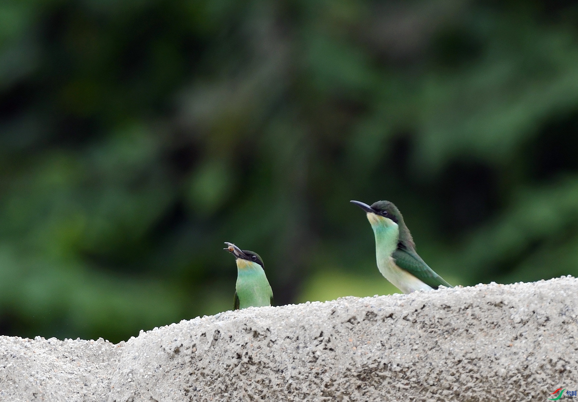 DSC_4650.jpg