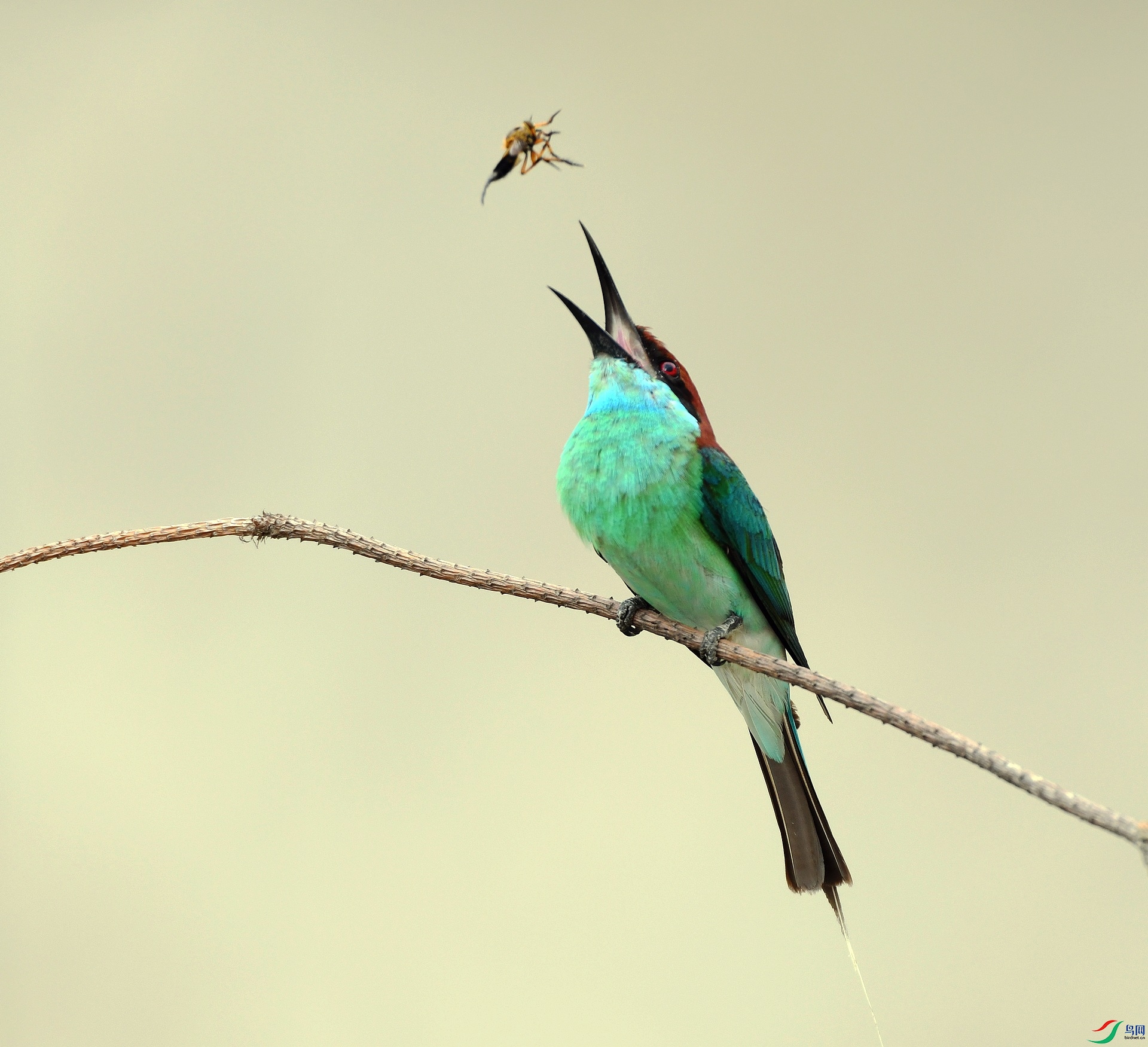 DSC_5041.jpg