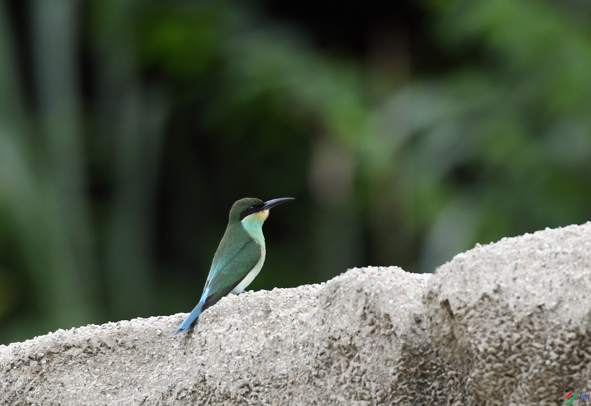 DSC_4535.jpg