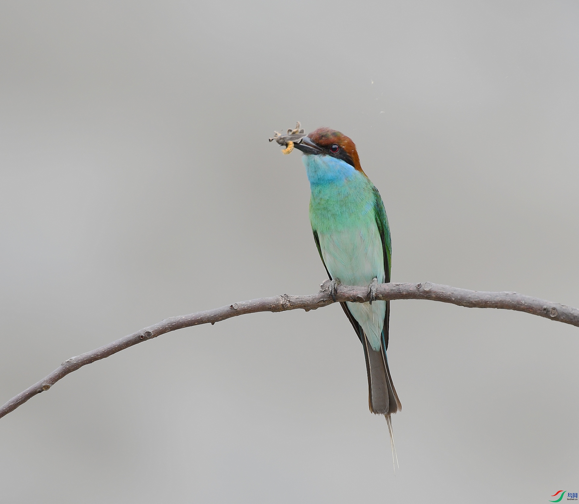 DSC_4594.jpg