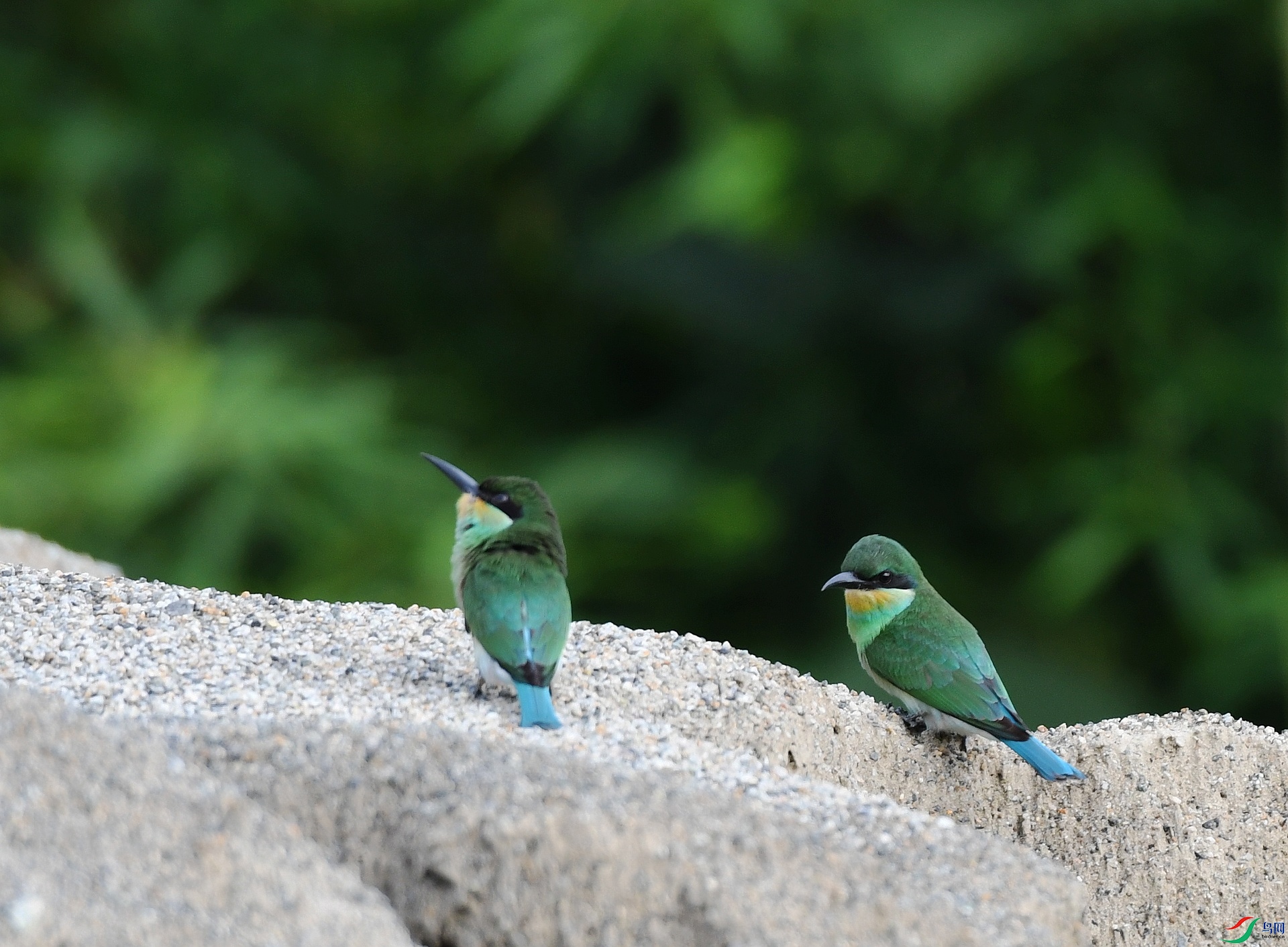 DSC_4426.jpg