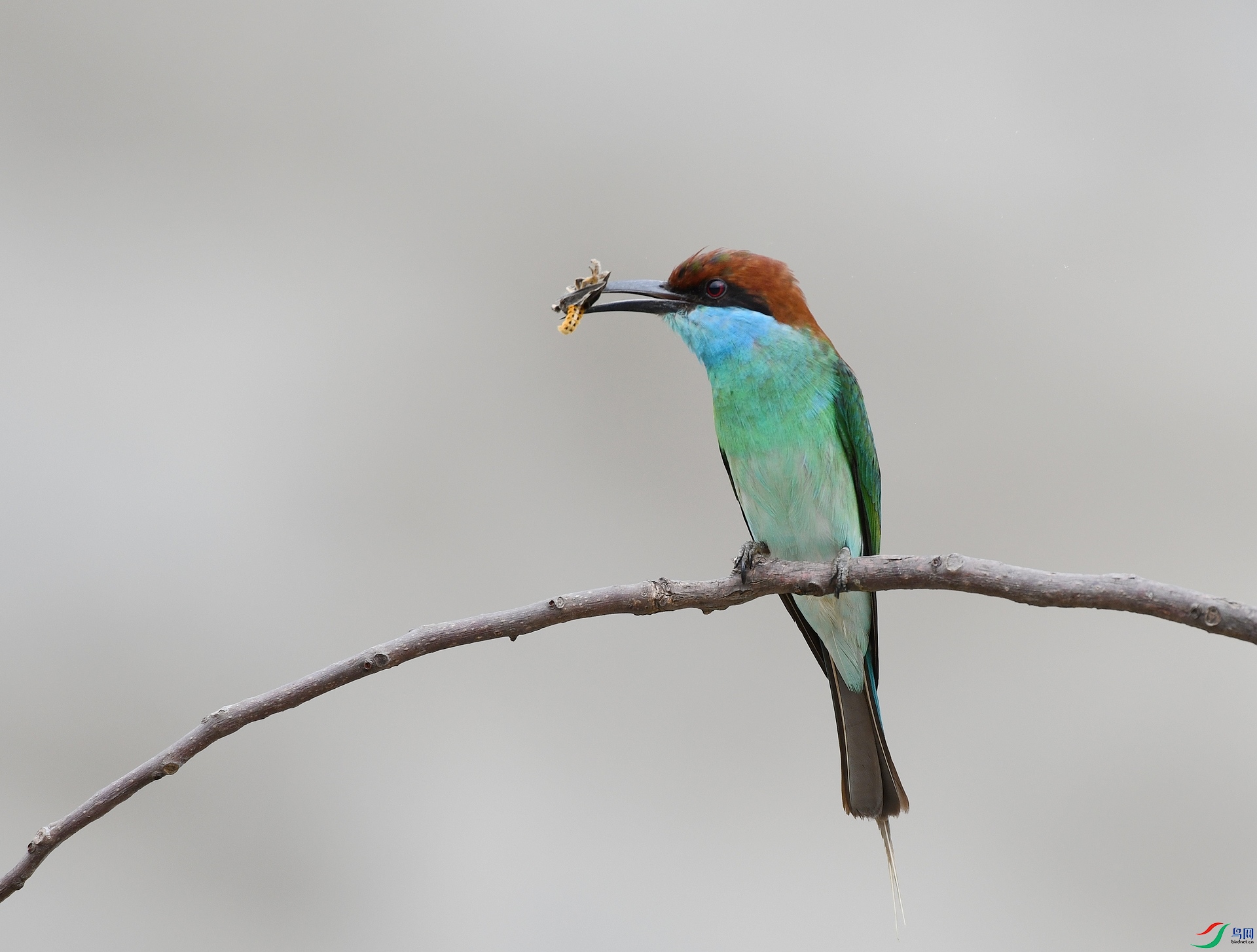 DSC_4595.jpg
