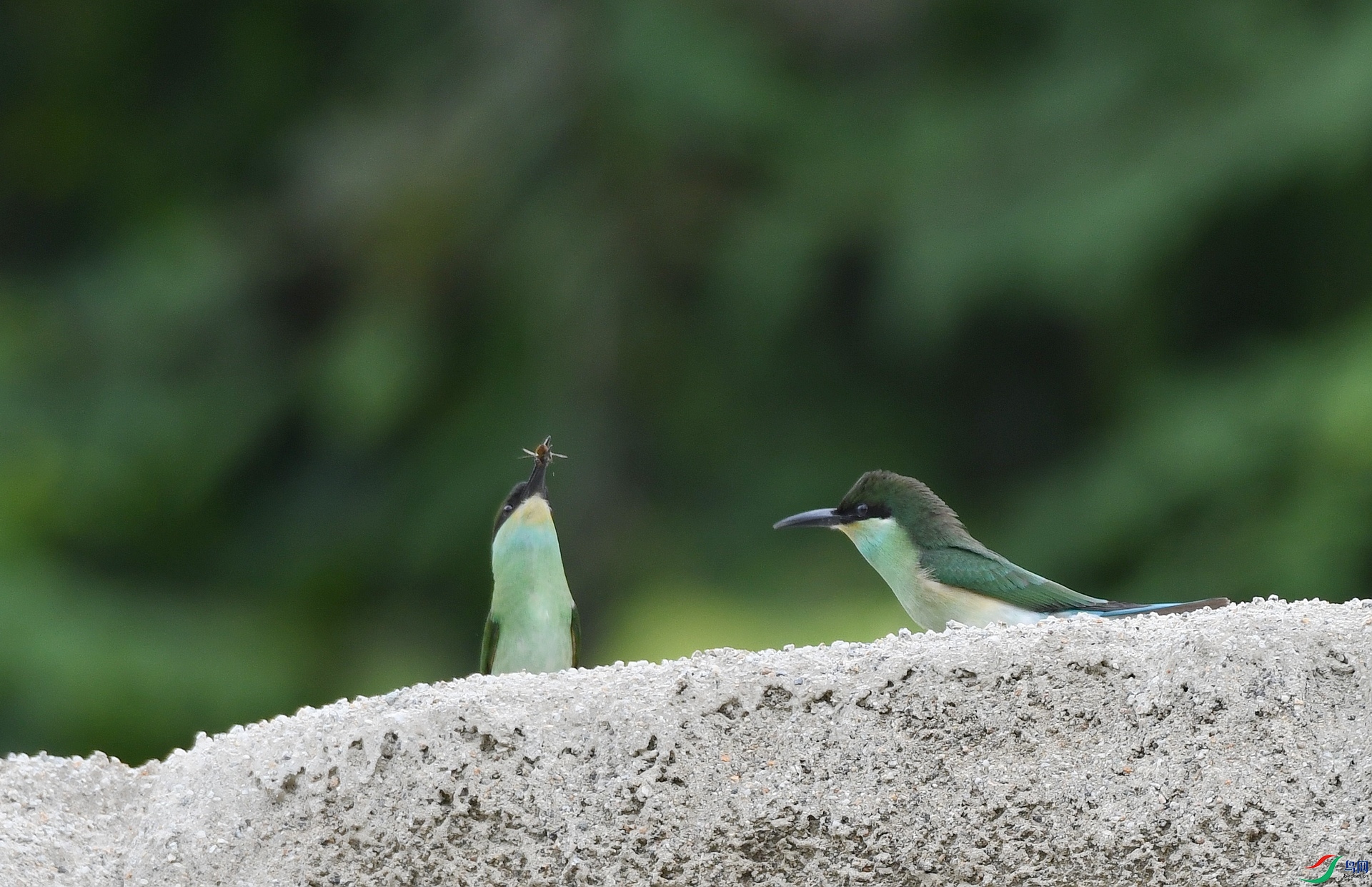 DSC_4642.jpg
