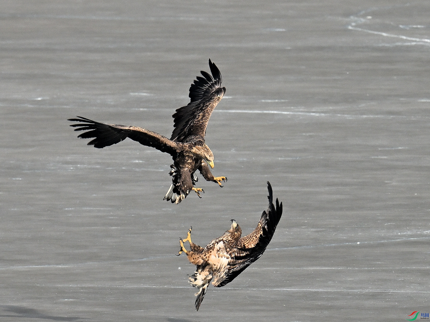 DSC_0863.JPG