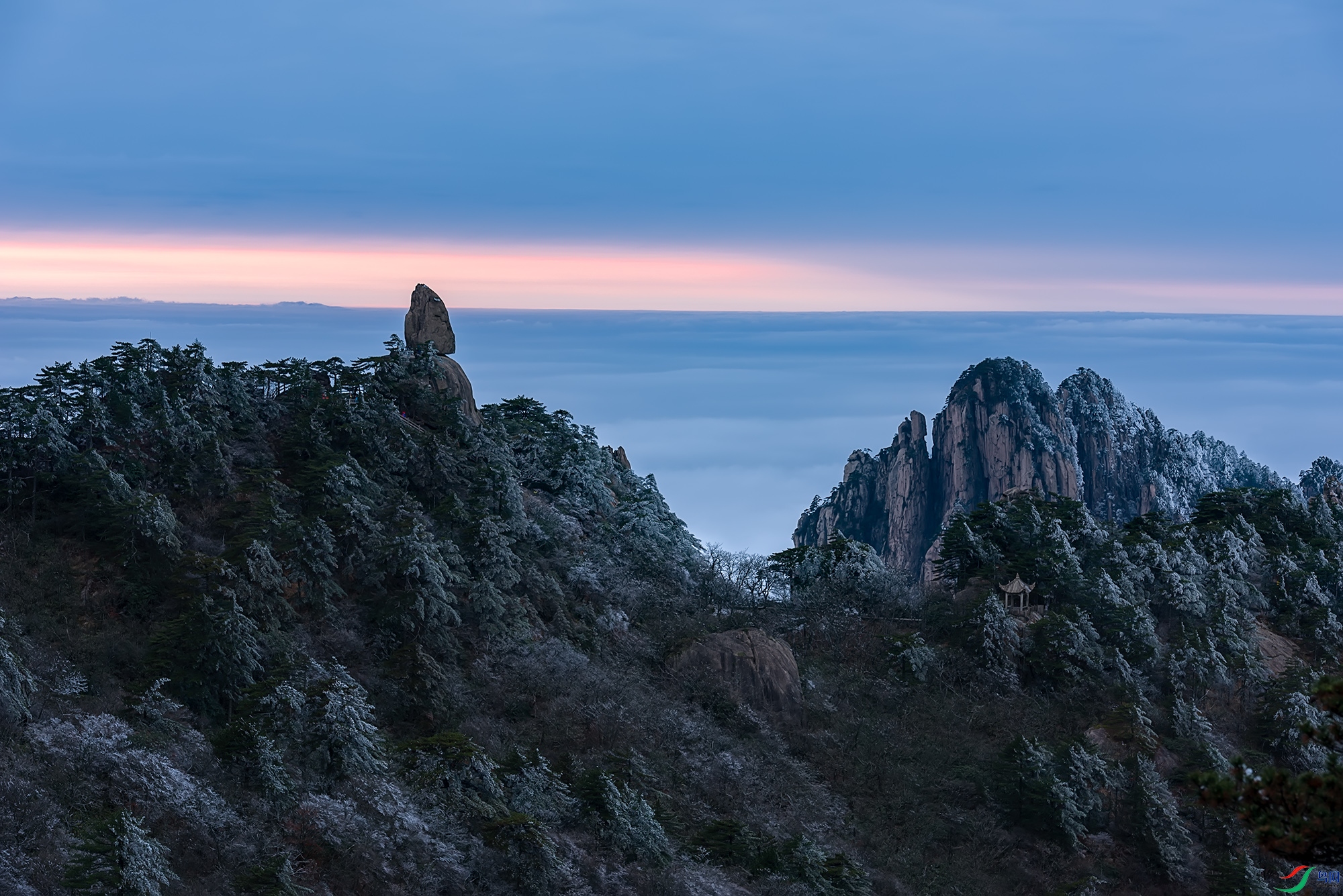 _DSC4964a.jpg