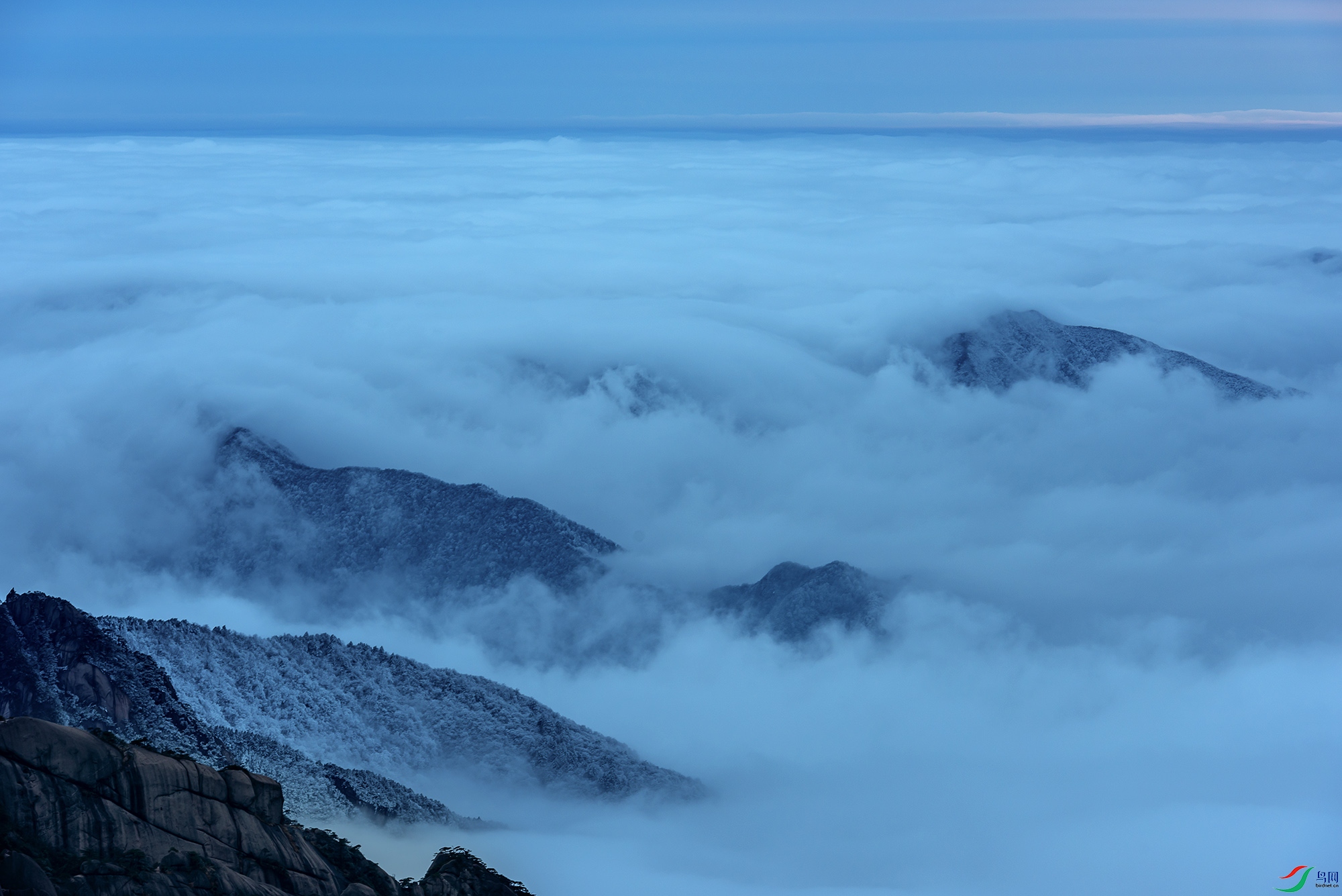 _DSC5038a.jpg