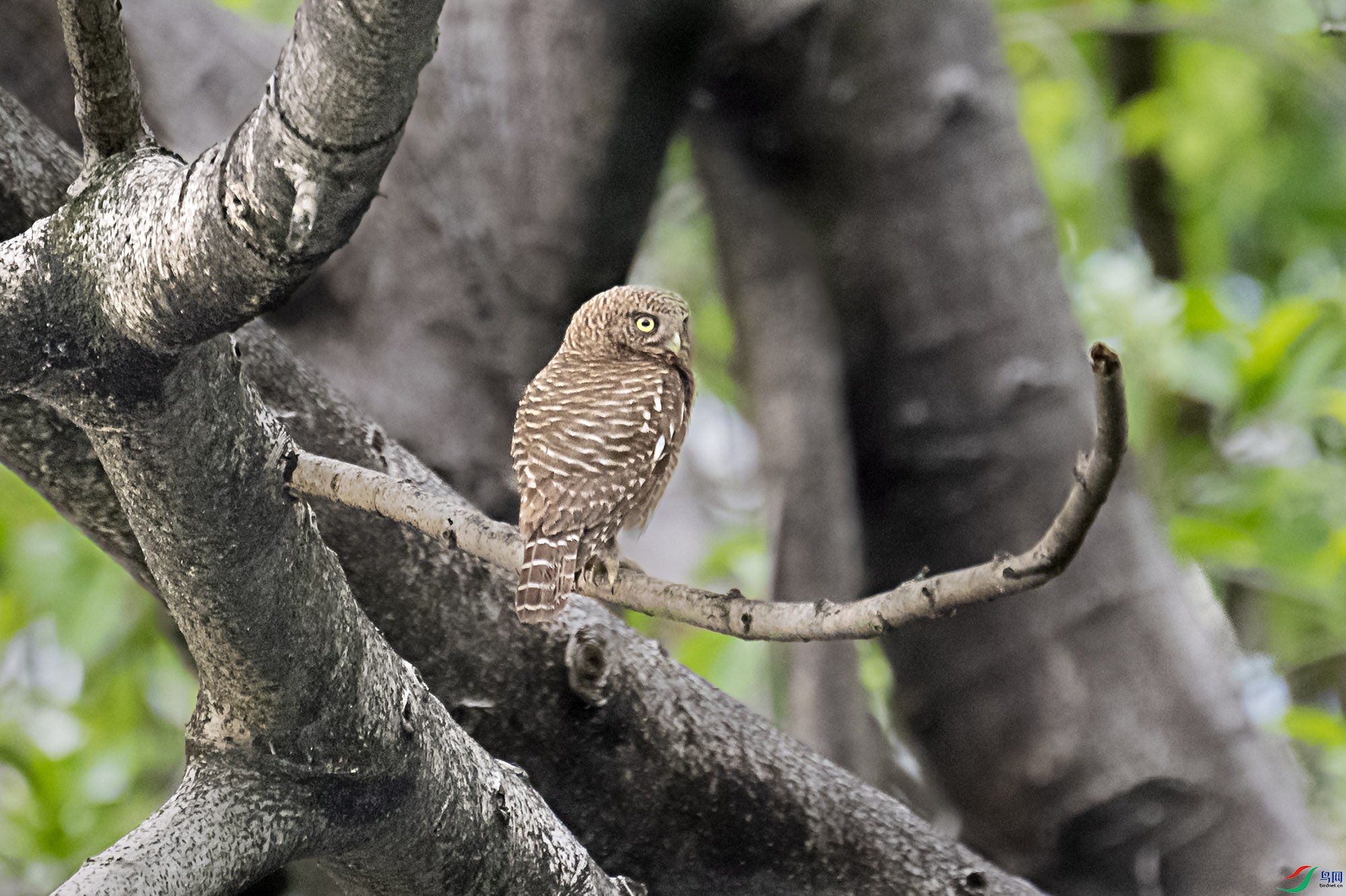 DSC_4788.jpg
