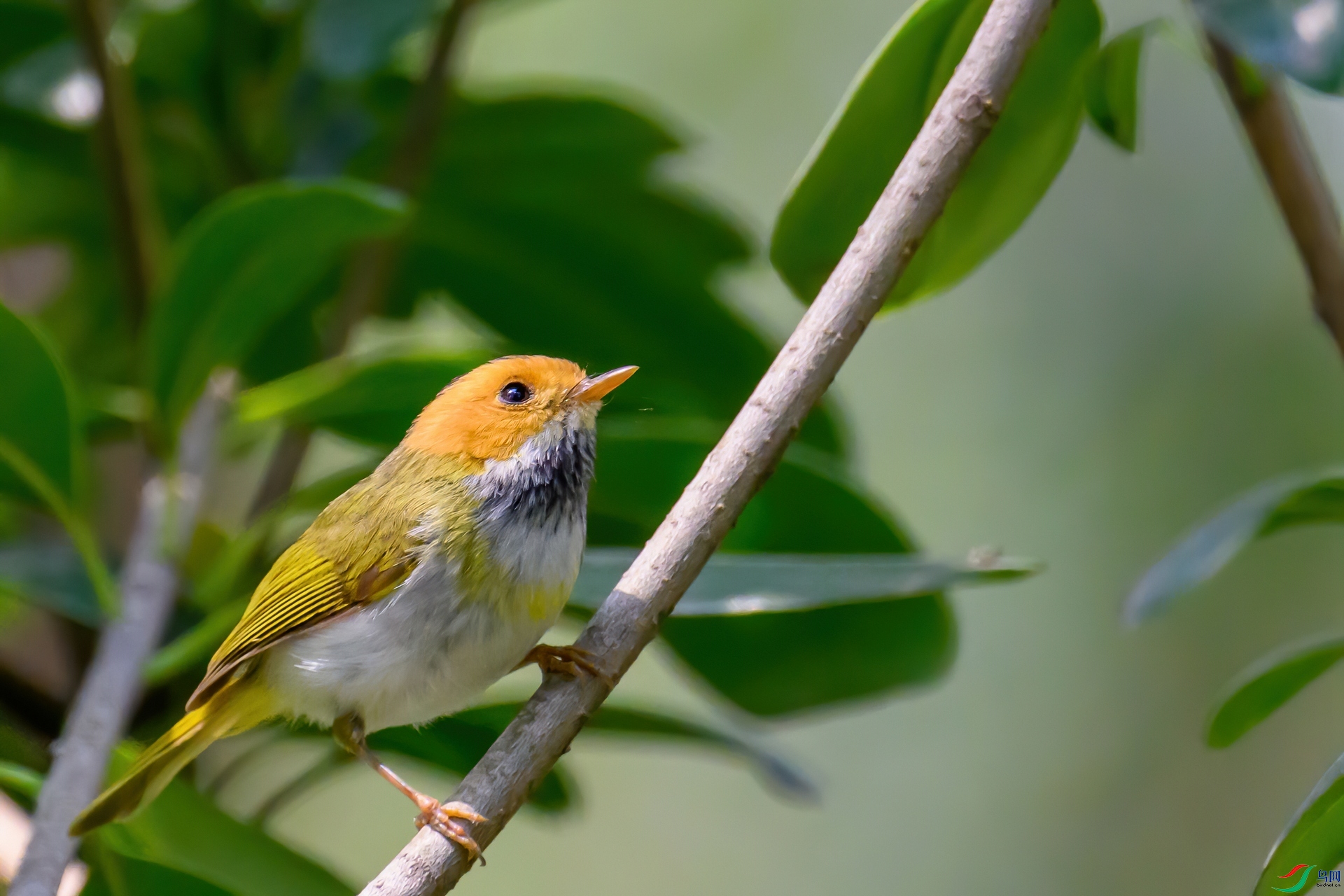 �����lݺ2_������С_����.jpg
