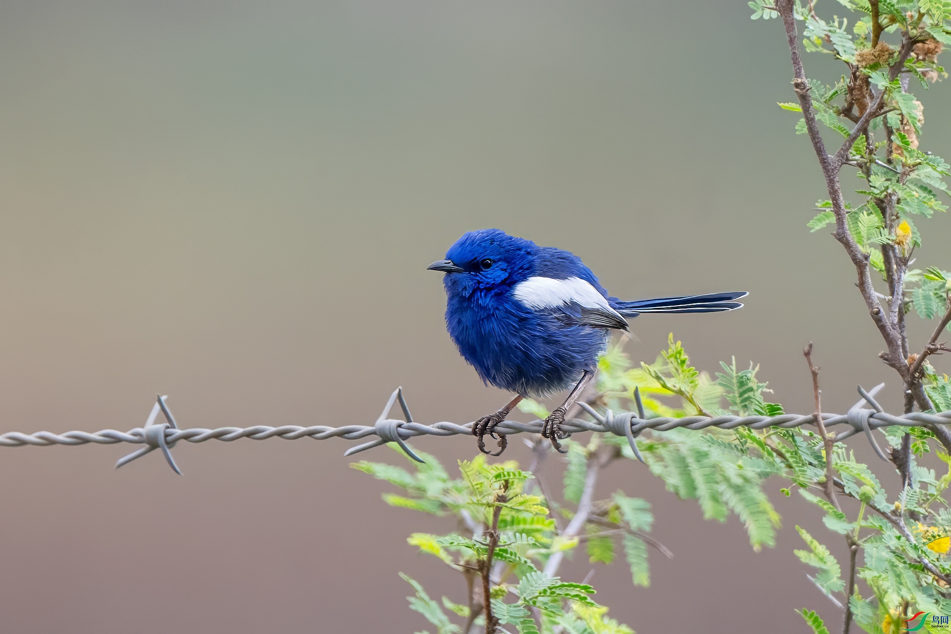 DSC_1032.jpg