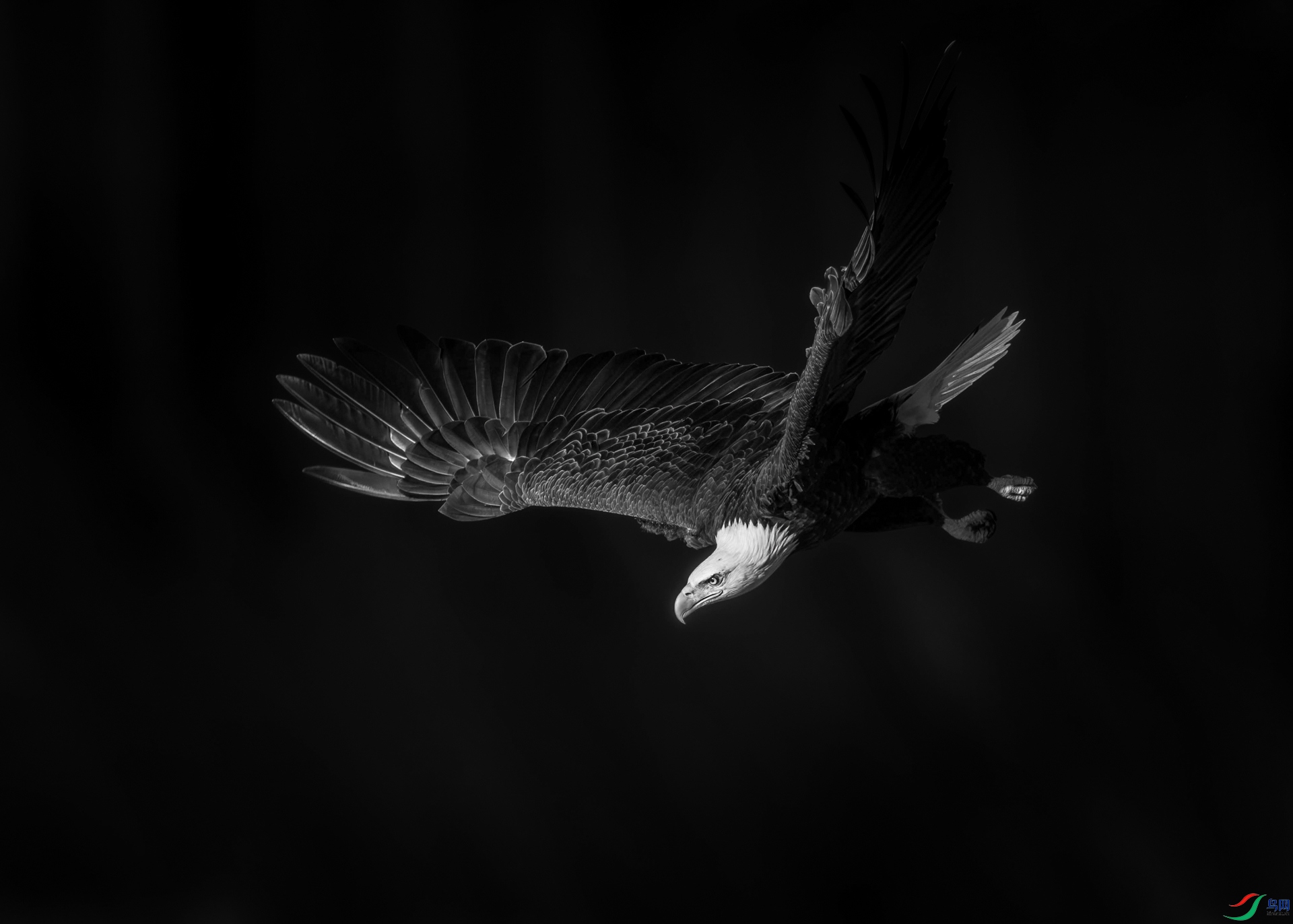 498A4111-����ǿ-����_1.jpg