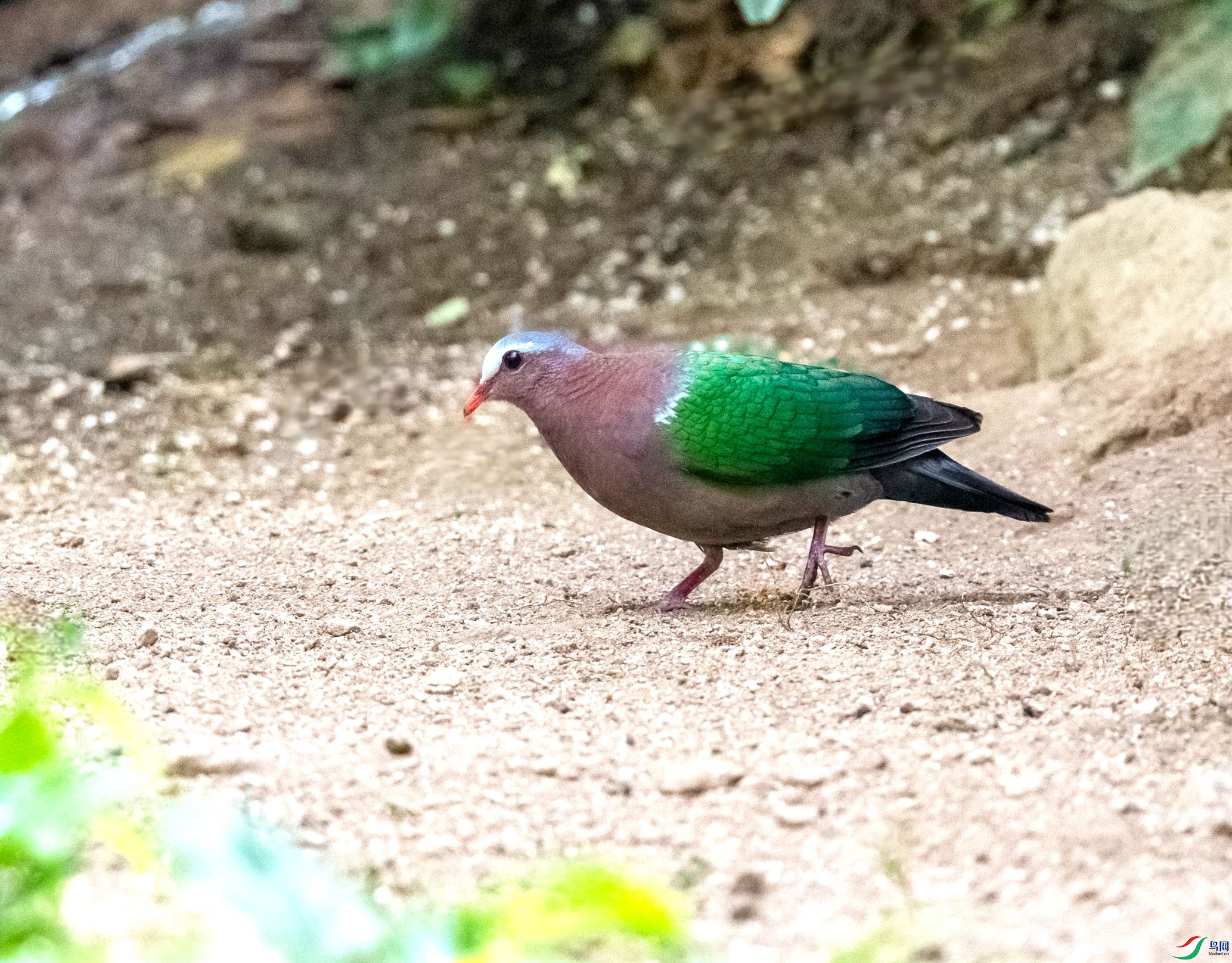 DSC_5451_����.jpg