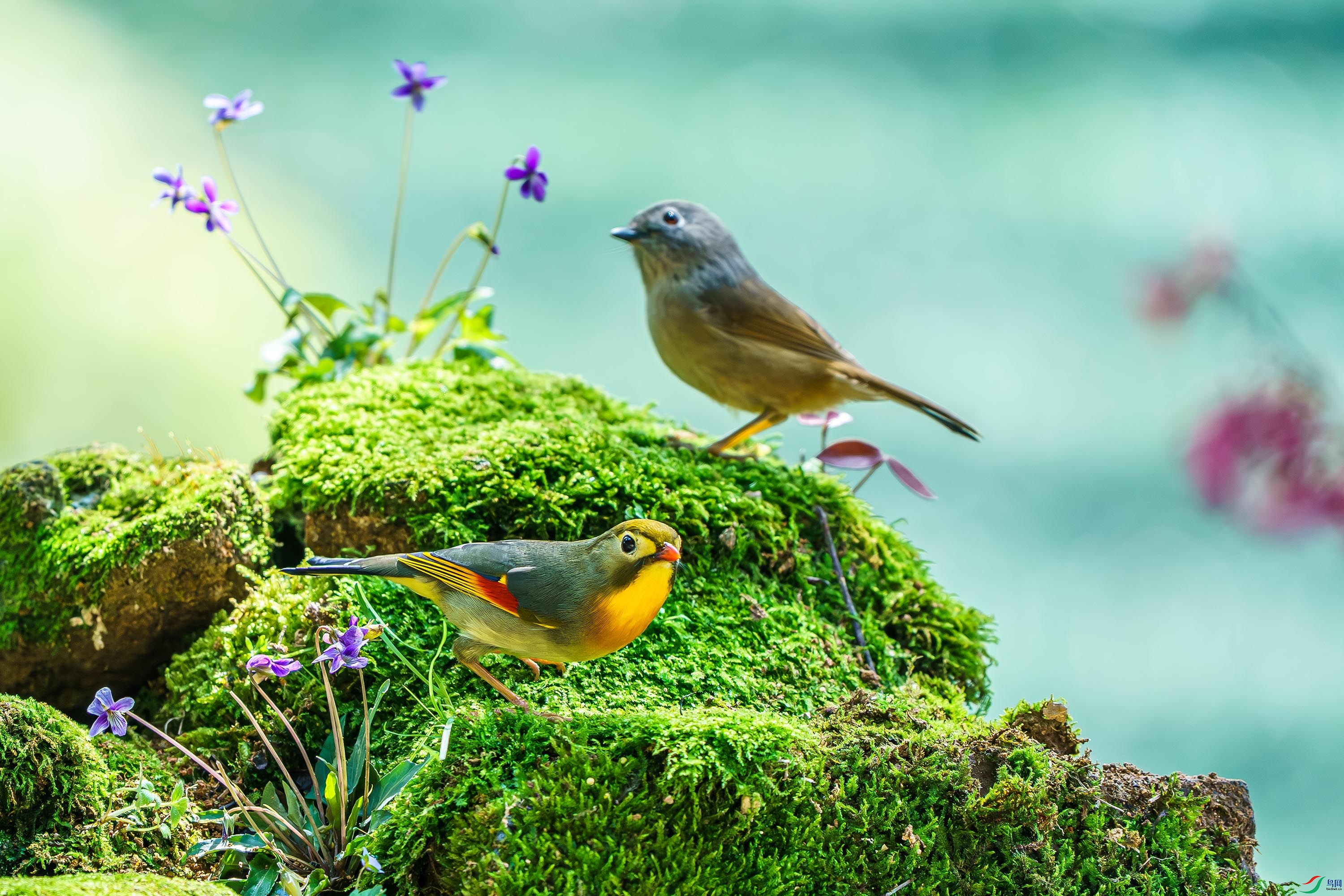 CYP00050.jpg