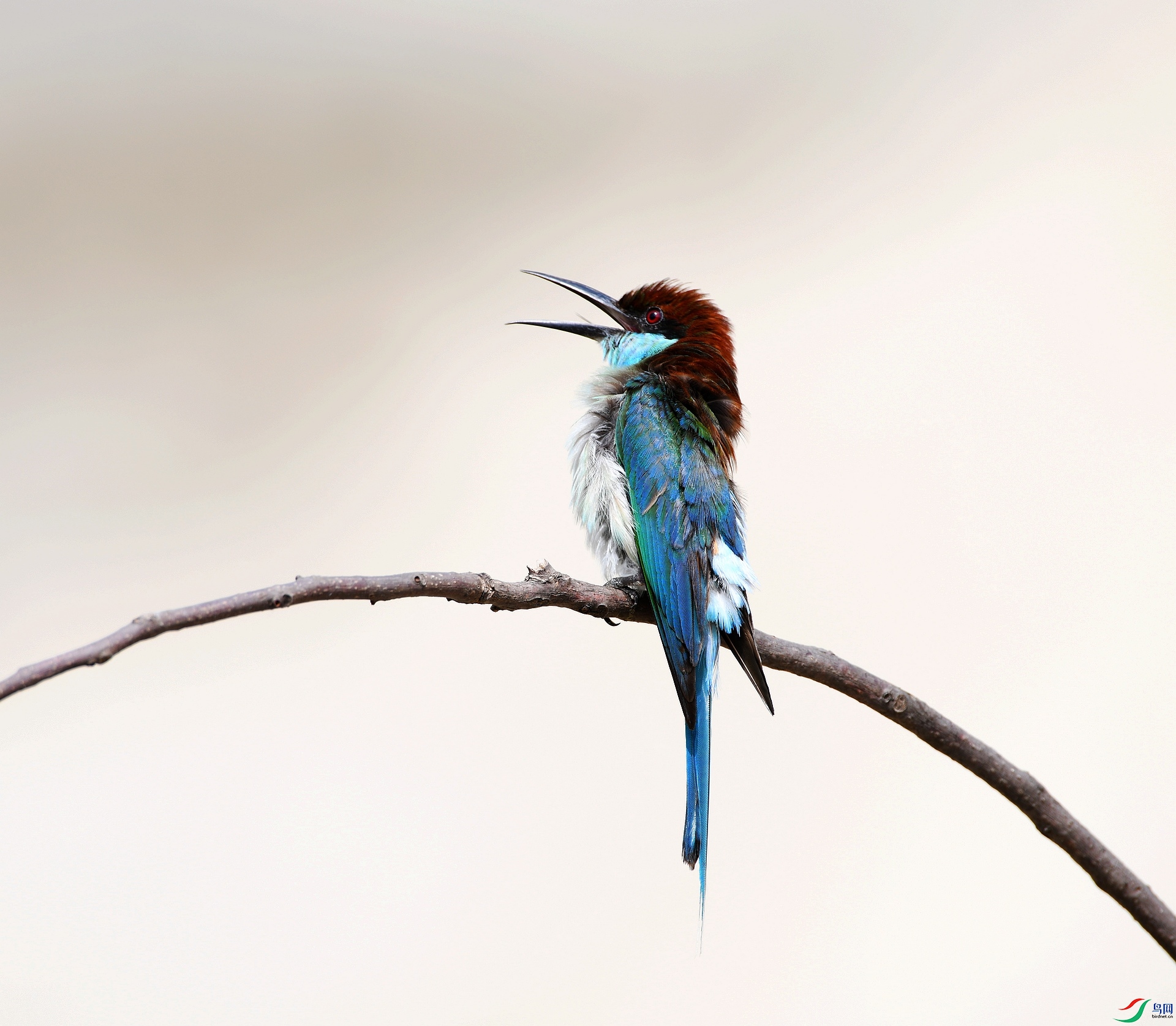 DSC_1476.jpg