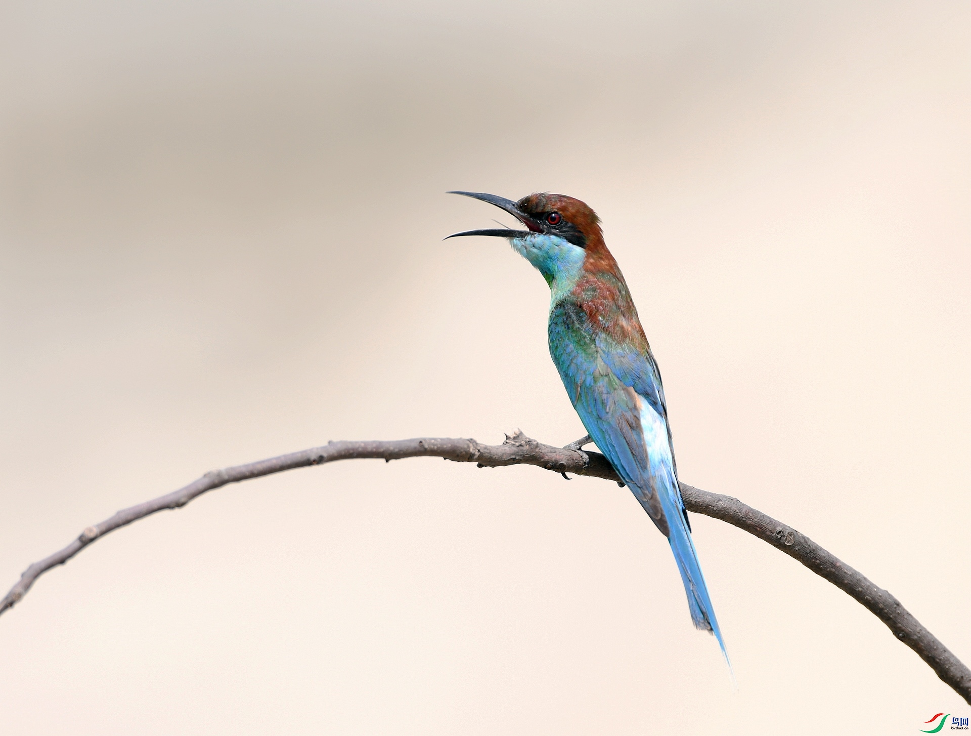 DSC_1484.jpg