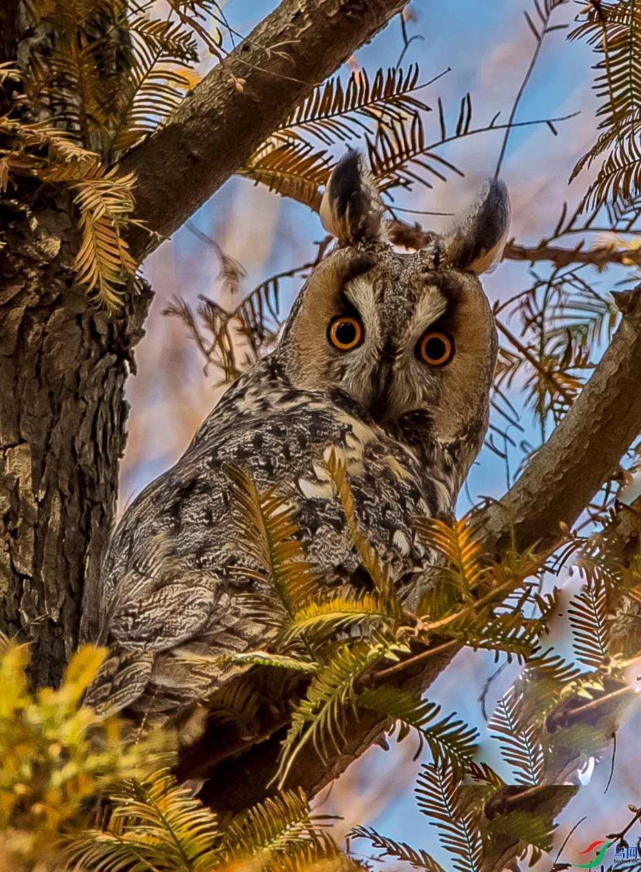 DSC_3149.jpg
