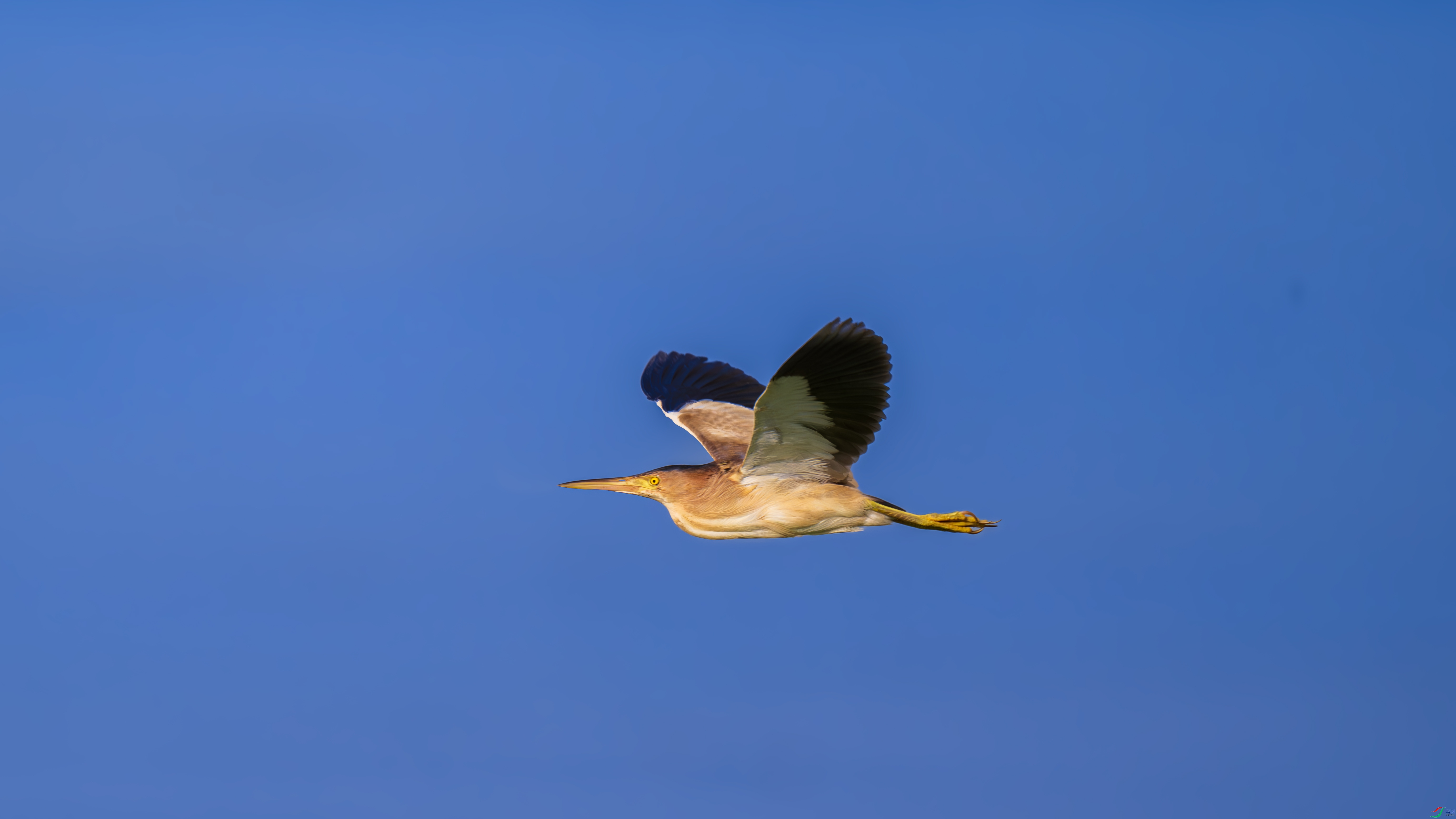 DSC_6728.jpg