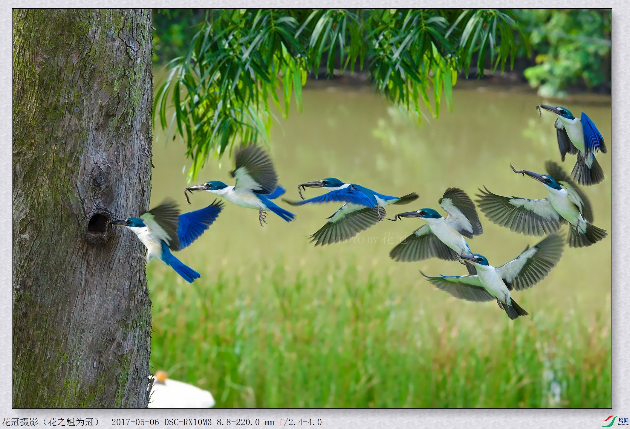 DSC08320�ϼ�B-1_����_����.jpg