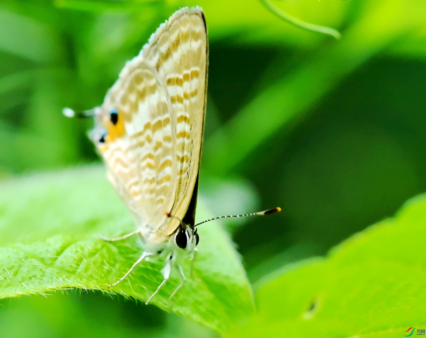 DSC_3396���ҵ�.jpg