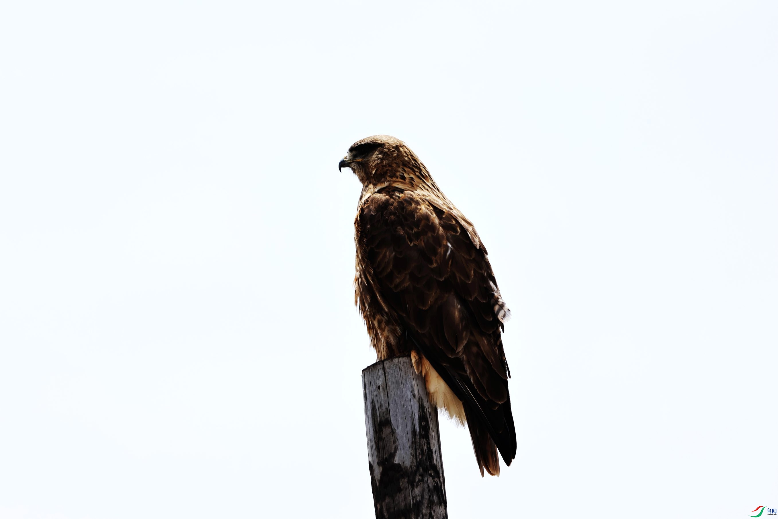 2D6A5672.JPG