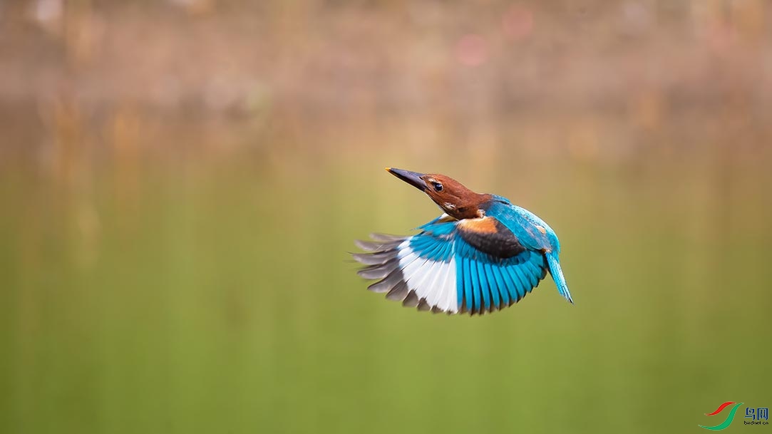 _FQ_5424-01.jpg
