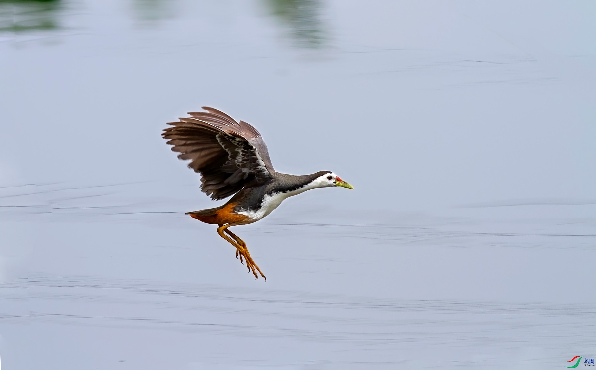 IMG_1786--a.jpg