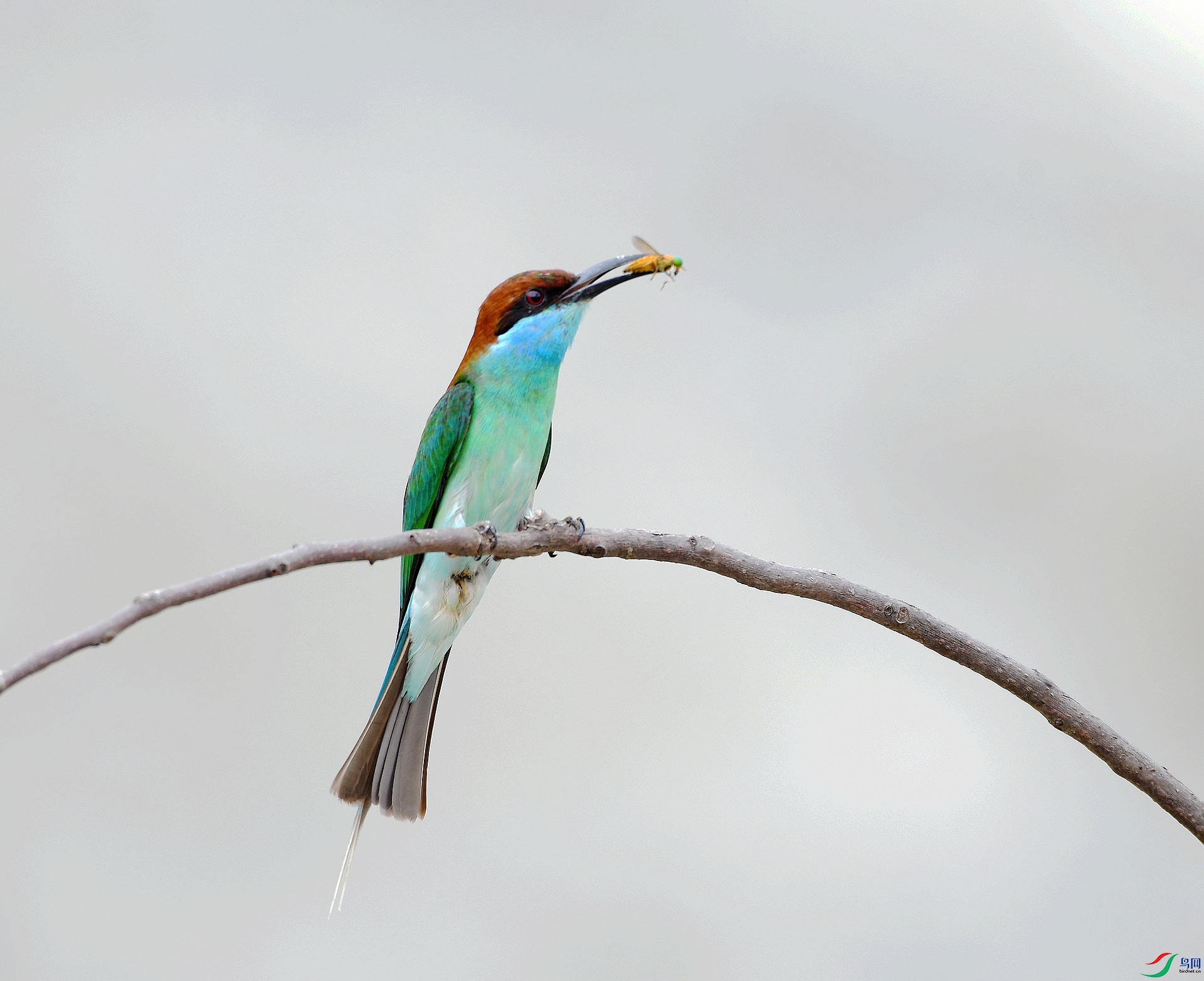 DSC_6005.jpg