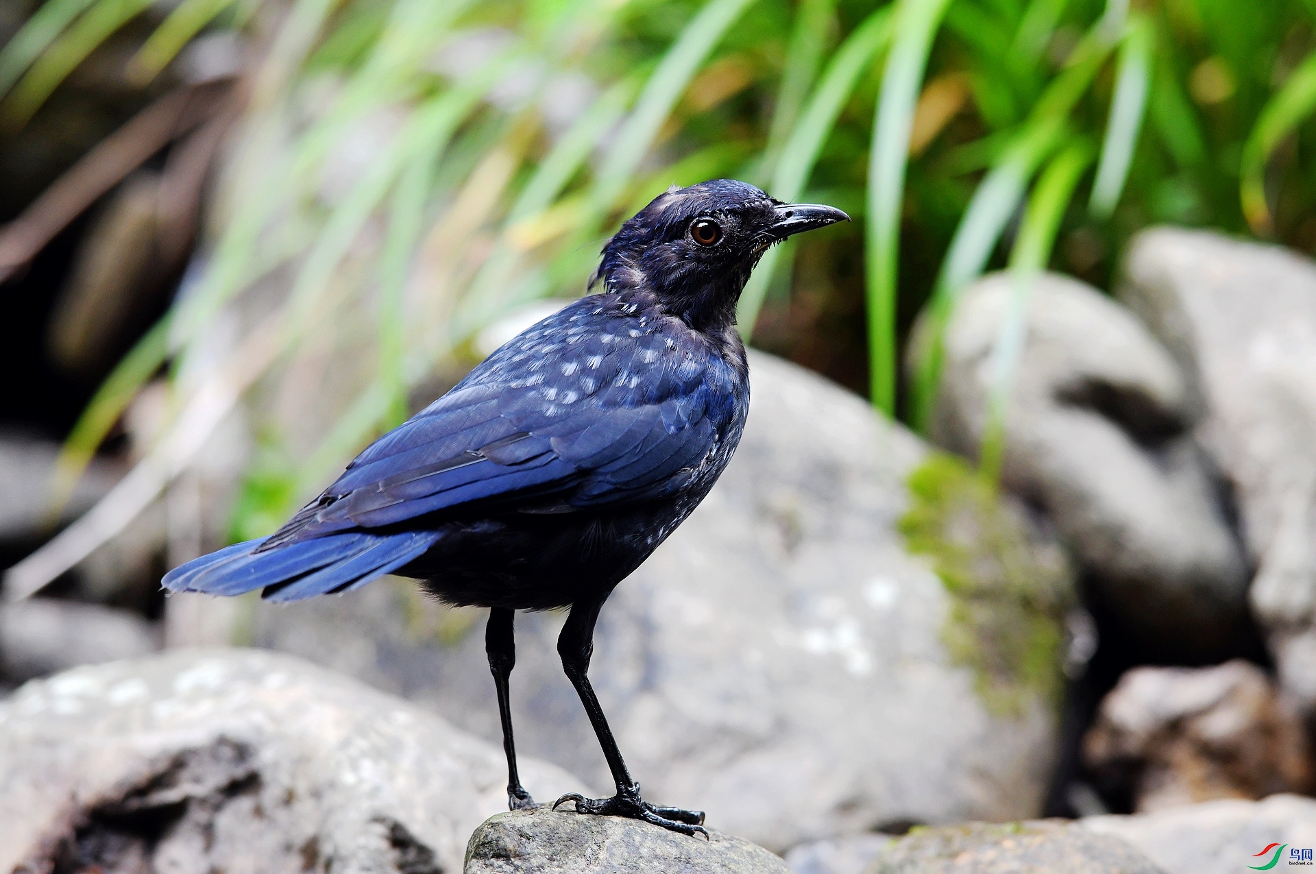 DSC_6109.jpg