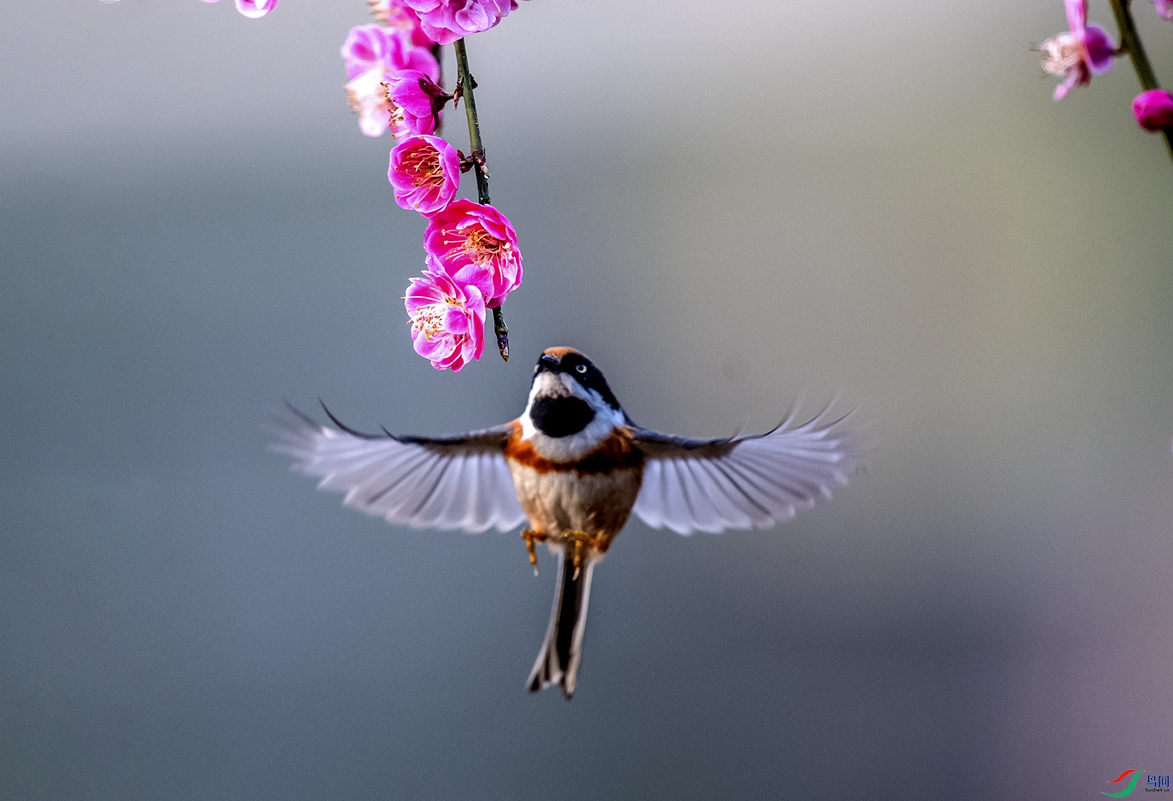 DSC_7601a.jpg