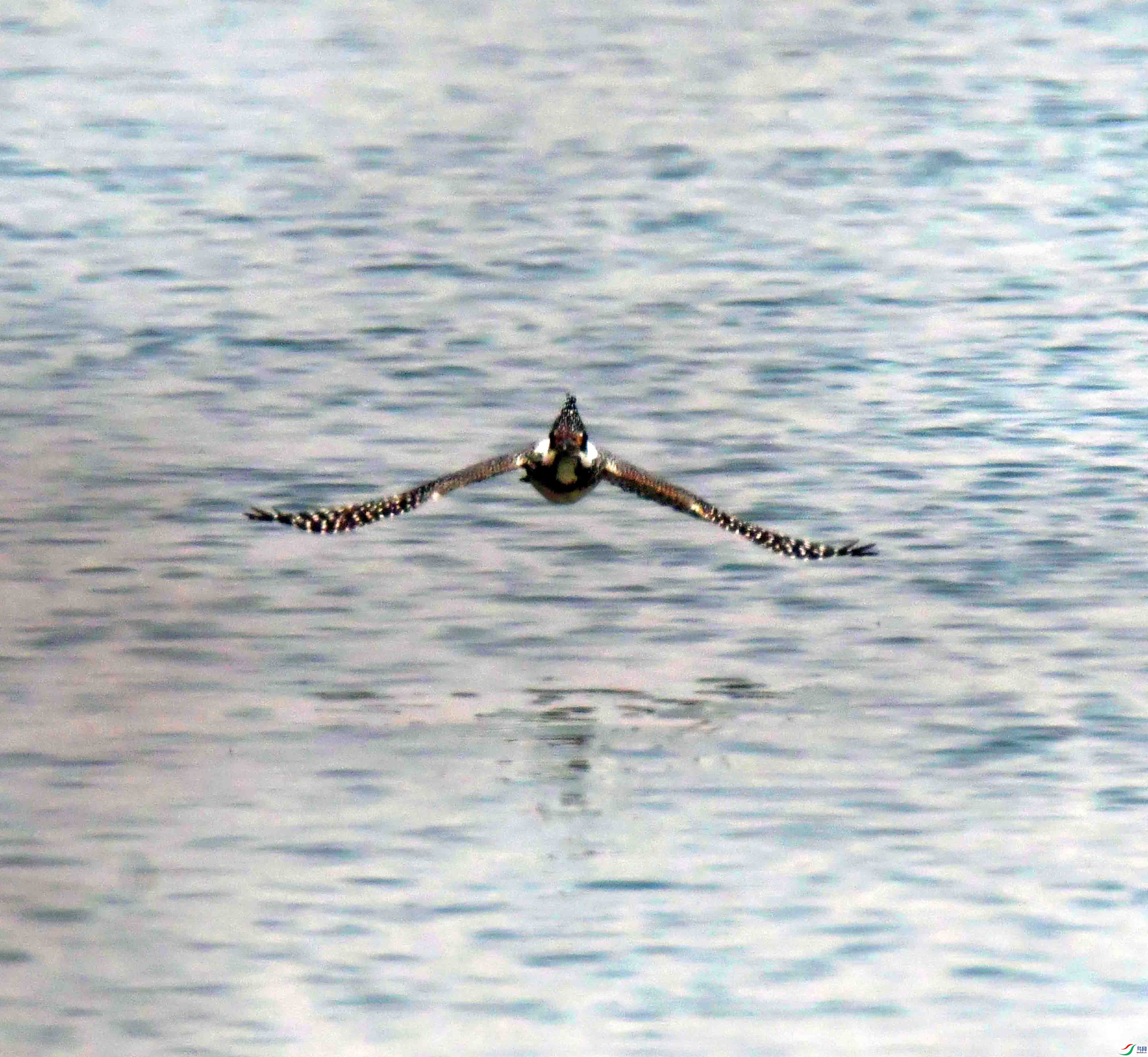 DSC_3429.JPG