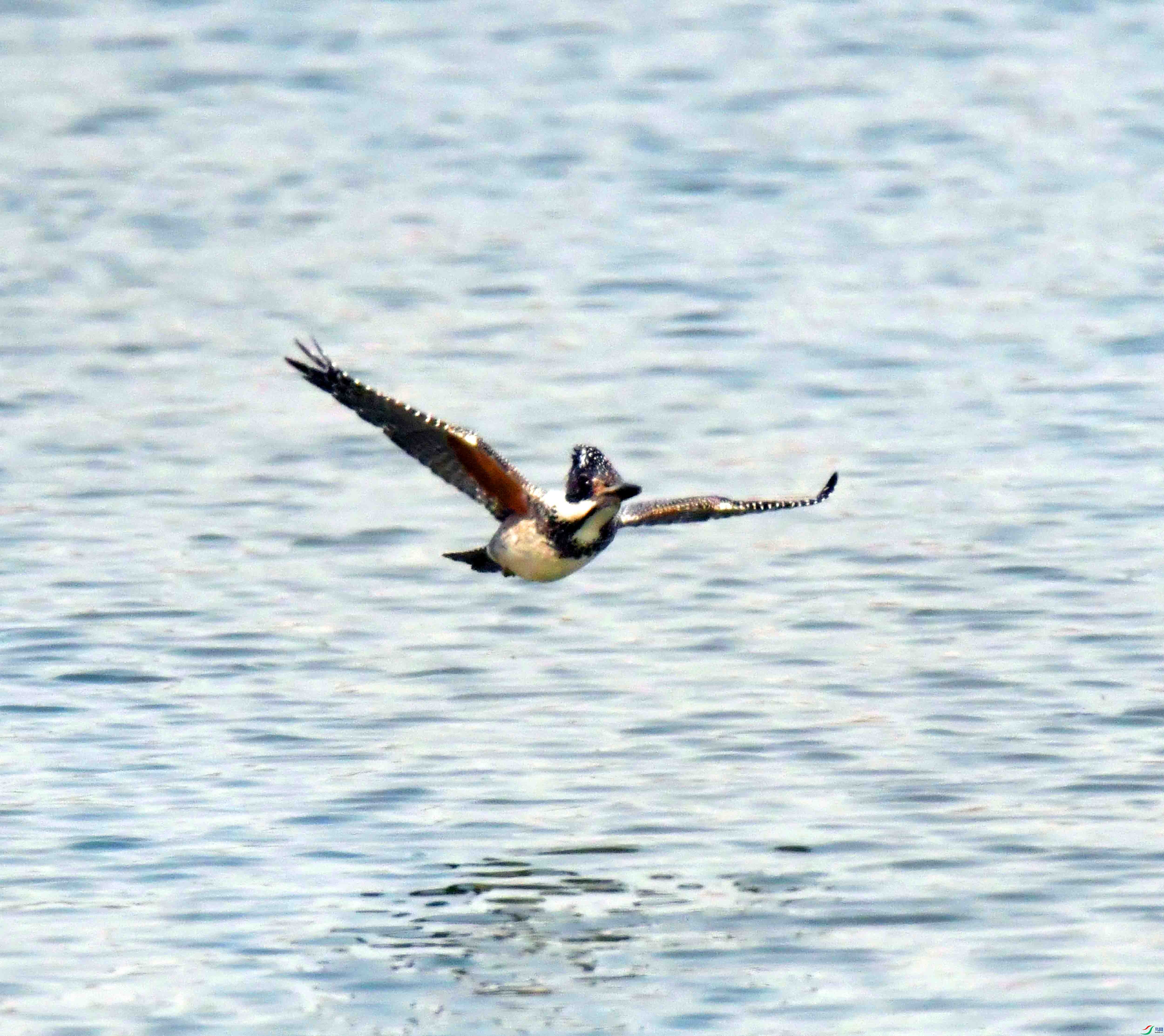 DSC_3435.JPG