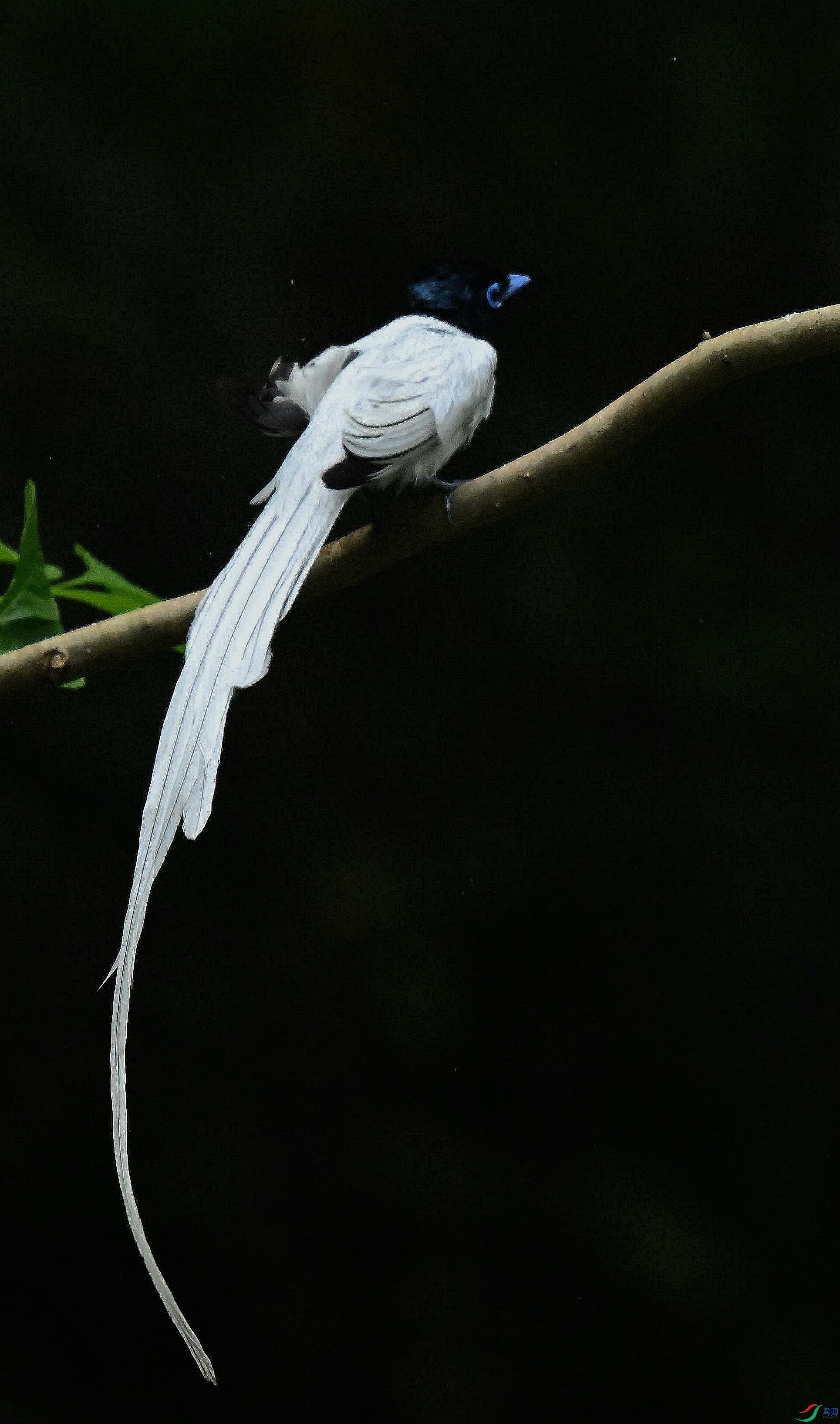 DSC_4606.jpg