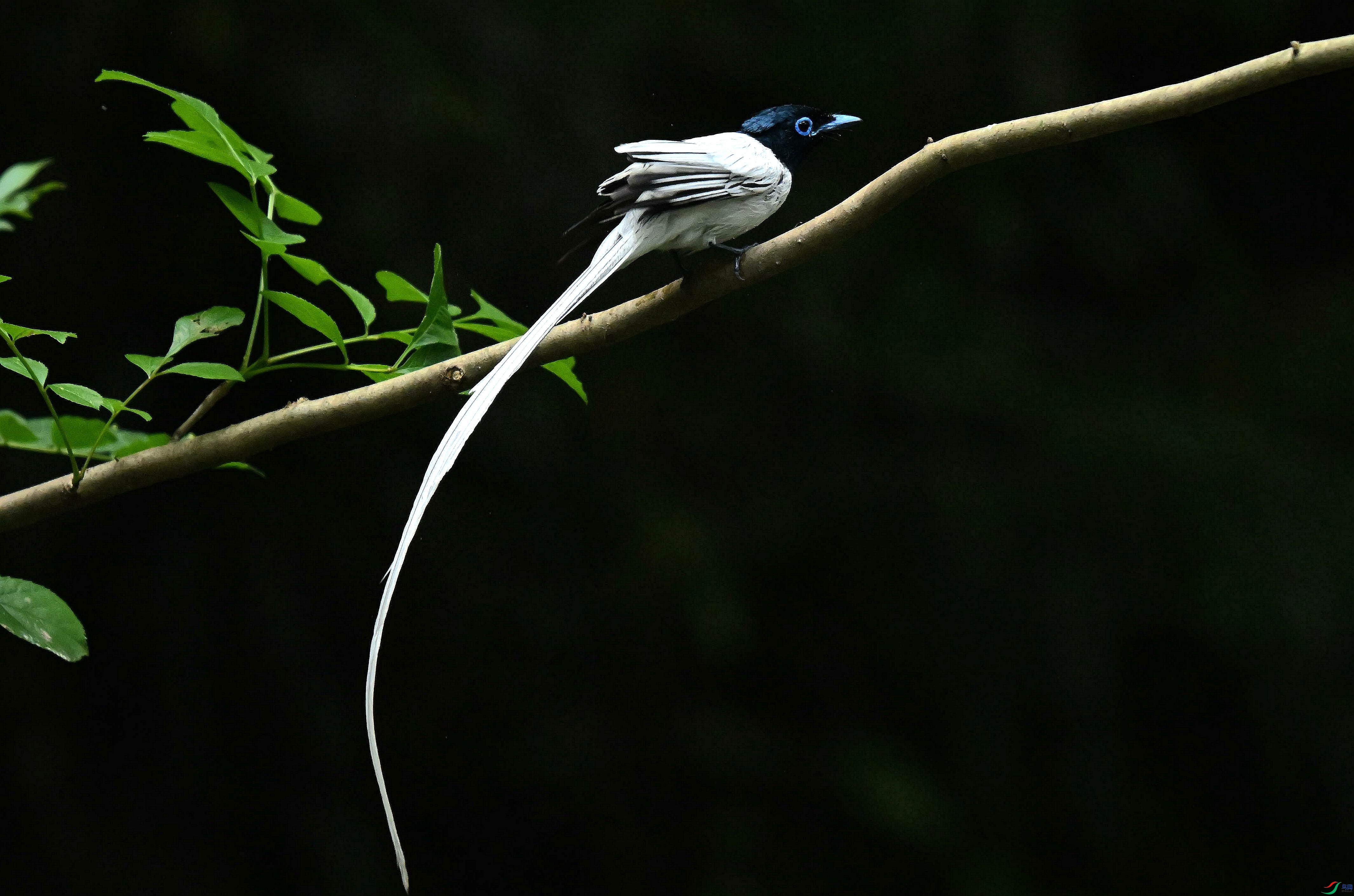DSC_4632.jpg