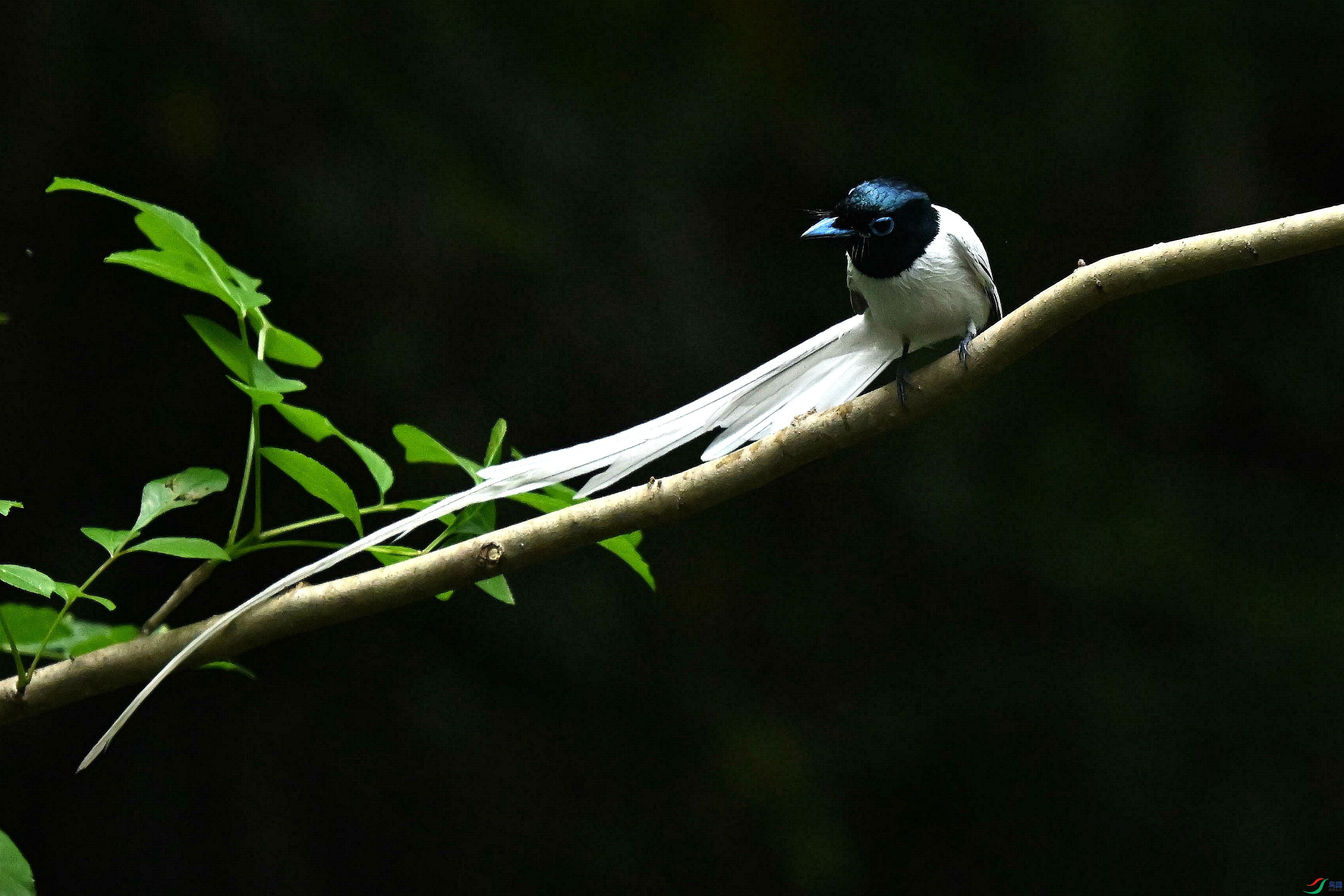 DSC_4680.jpg