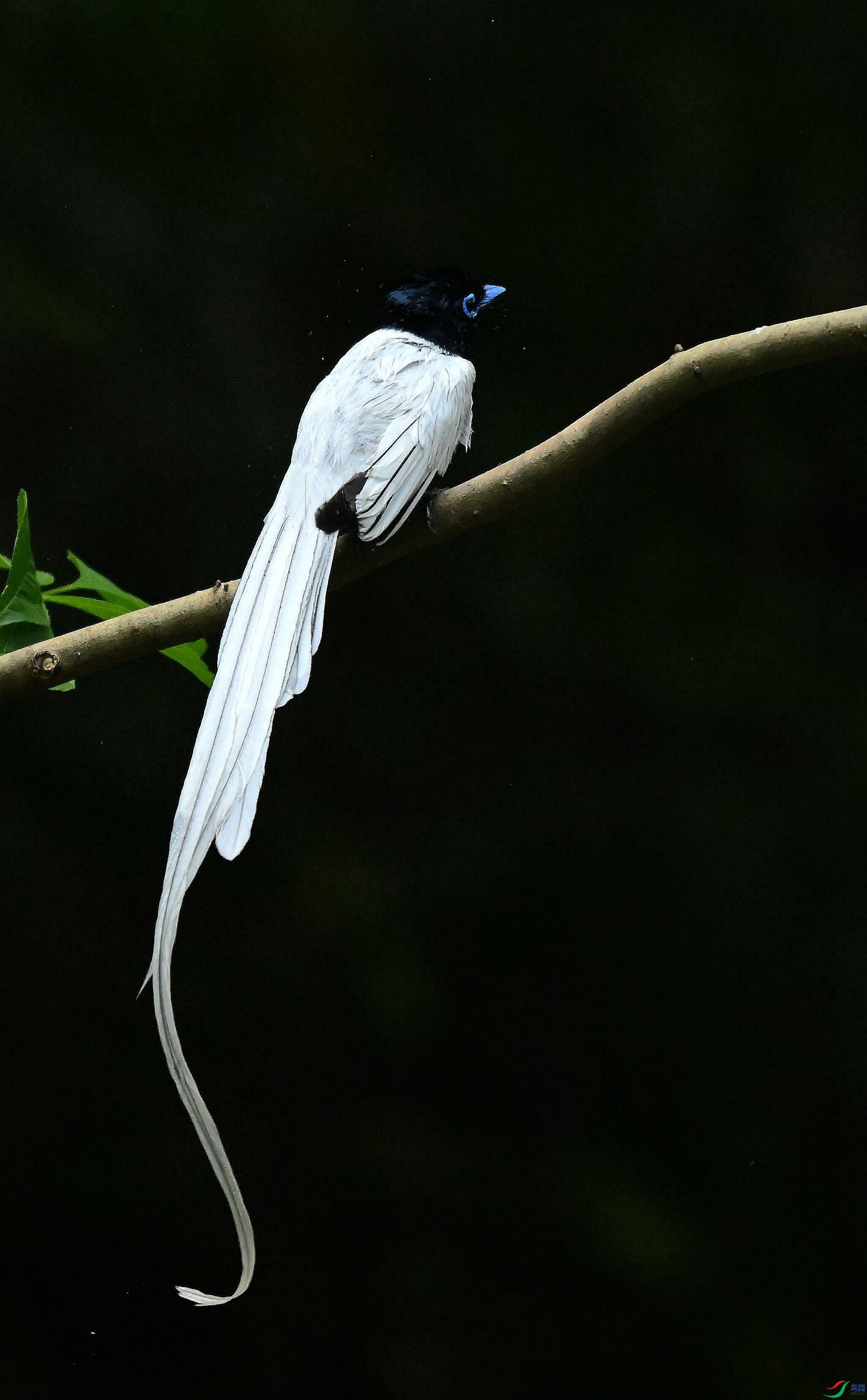 DSC_4604.jpg