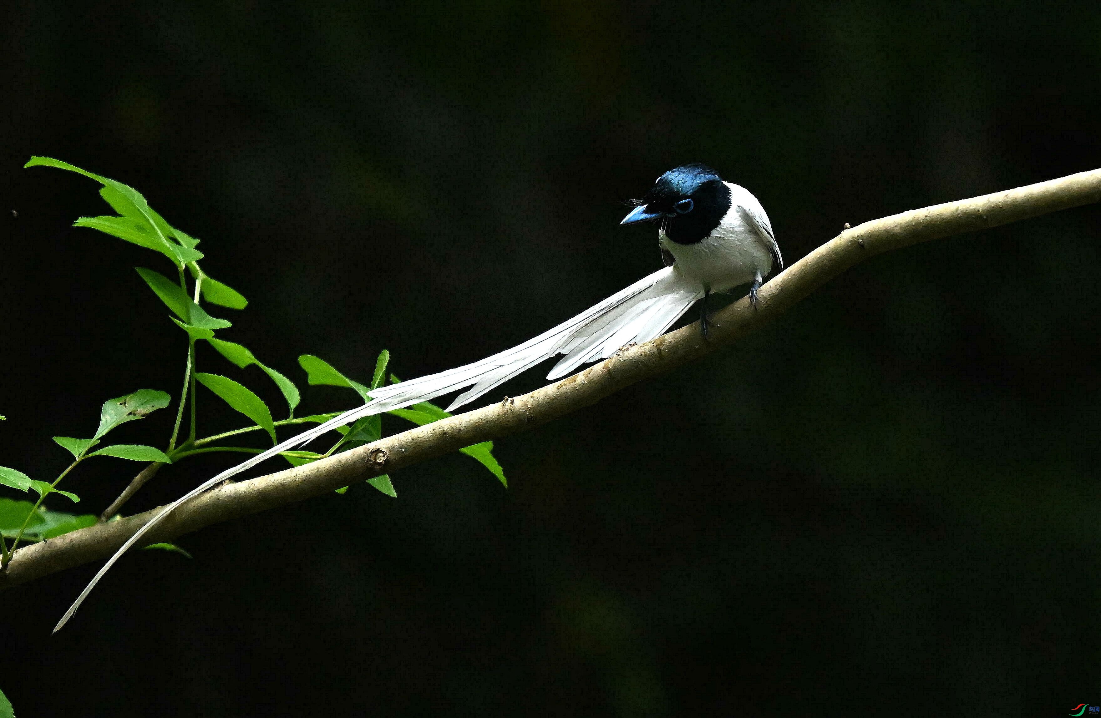 DSC_4683.jpg