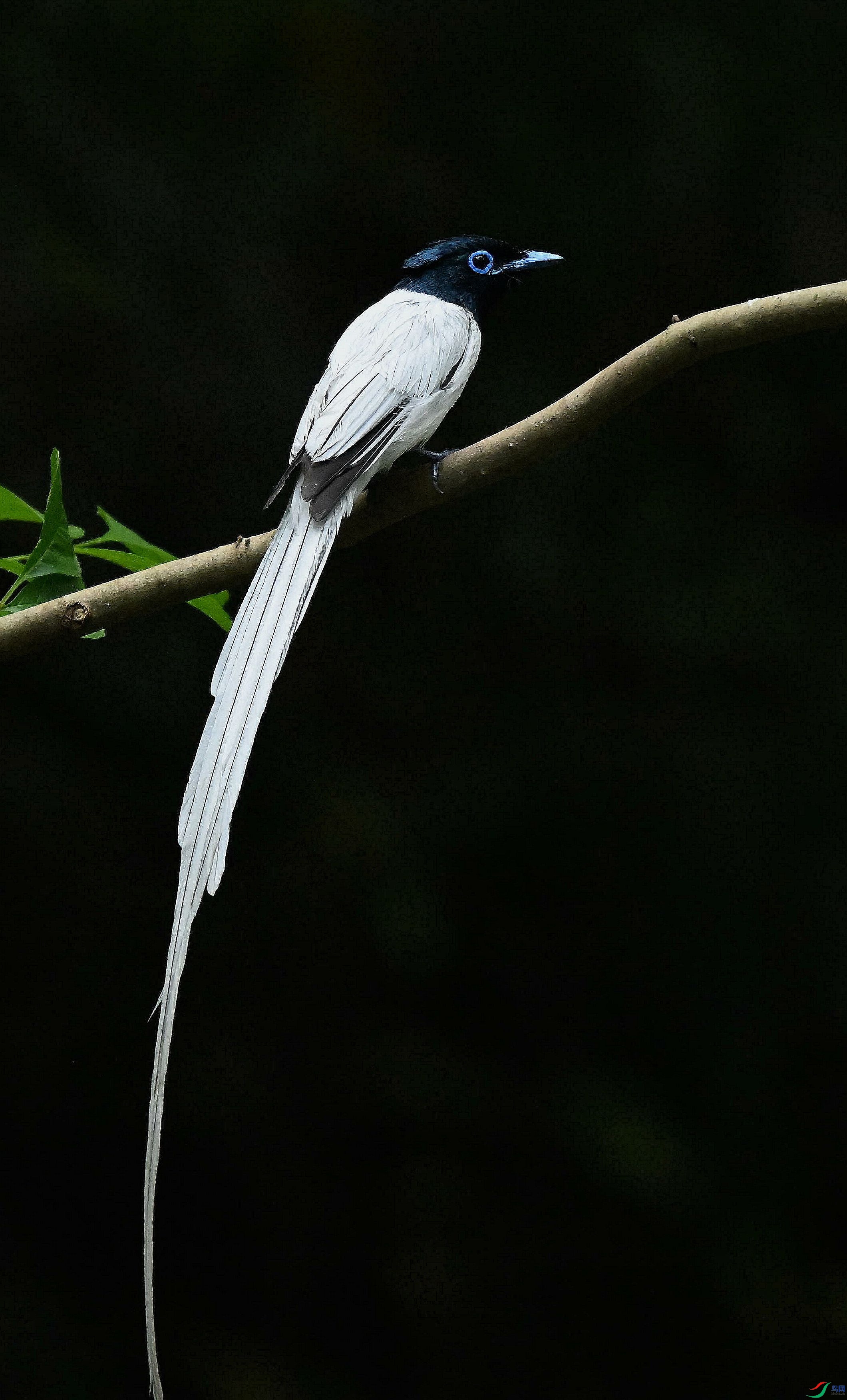 DSC_4607.jpg