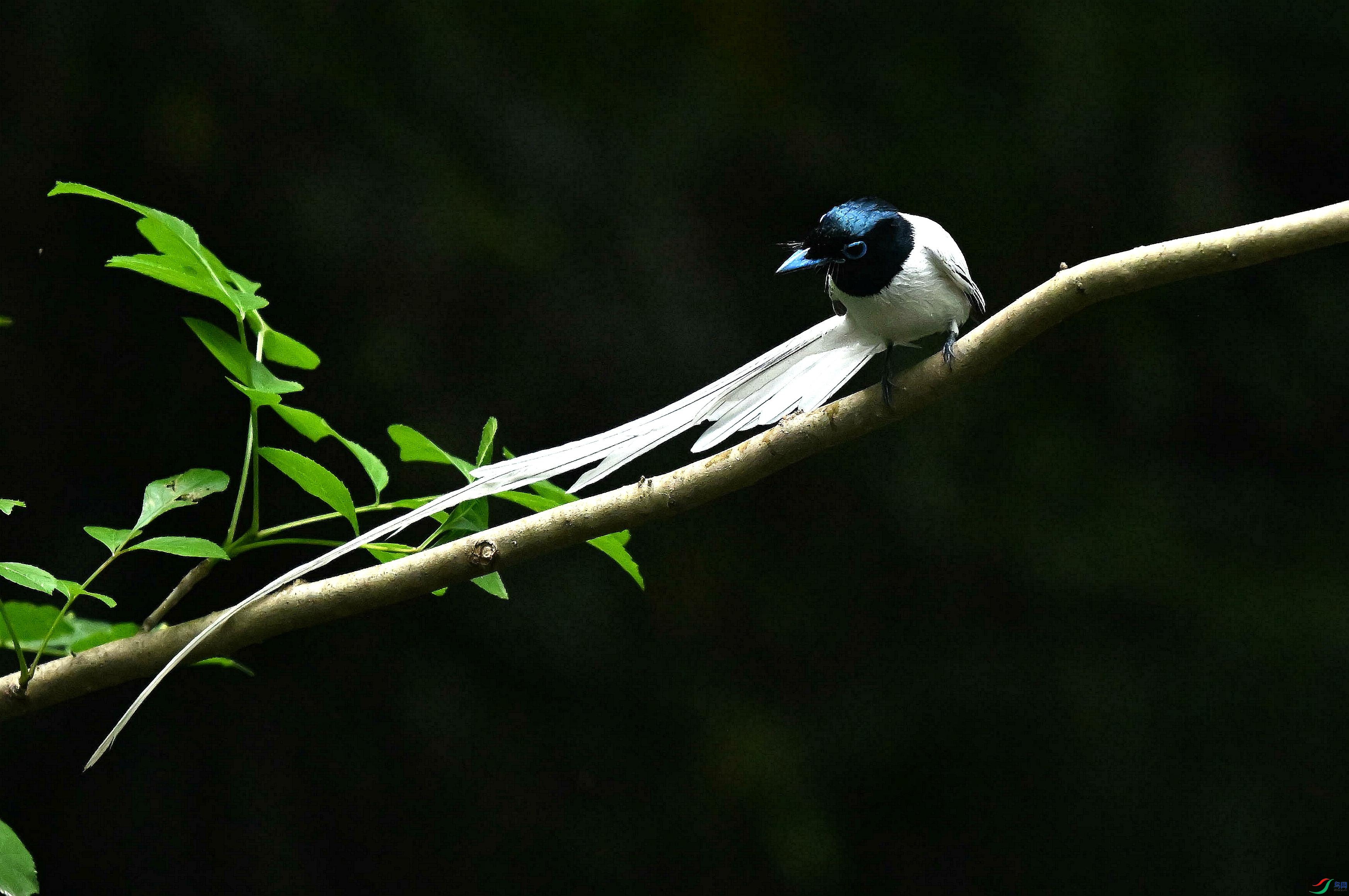 DSC_4686.jpg
