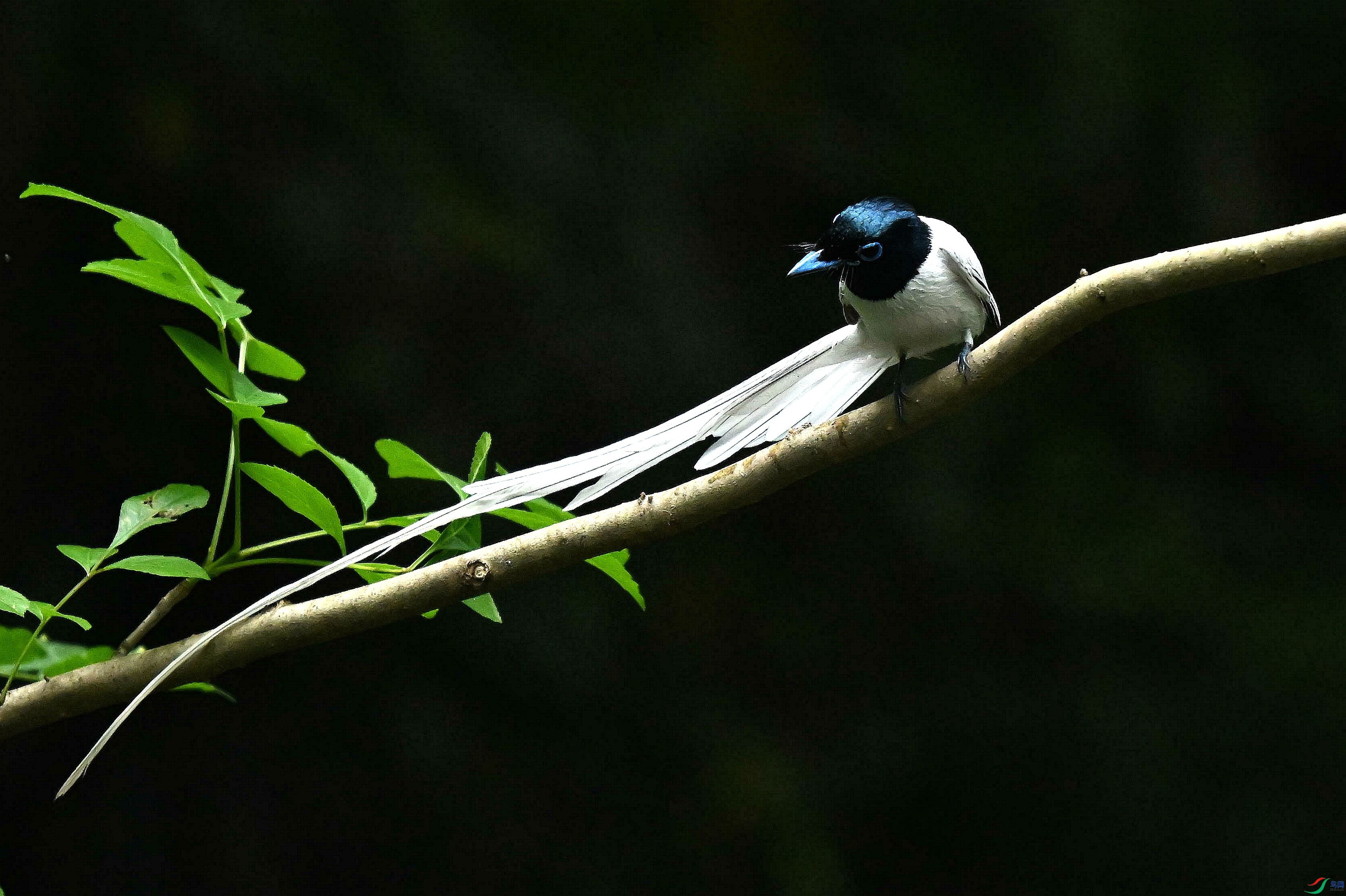 DSC_4684.jpg