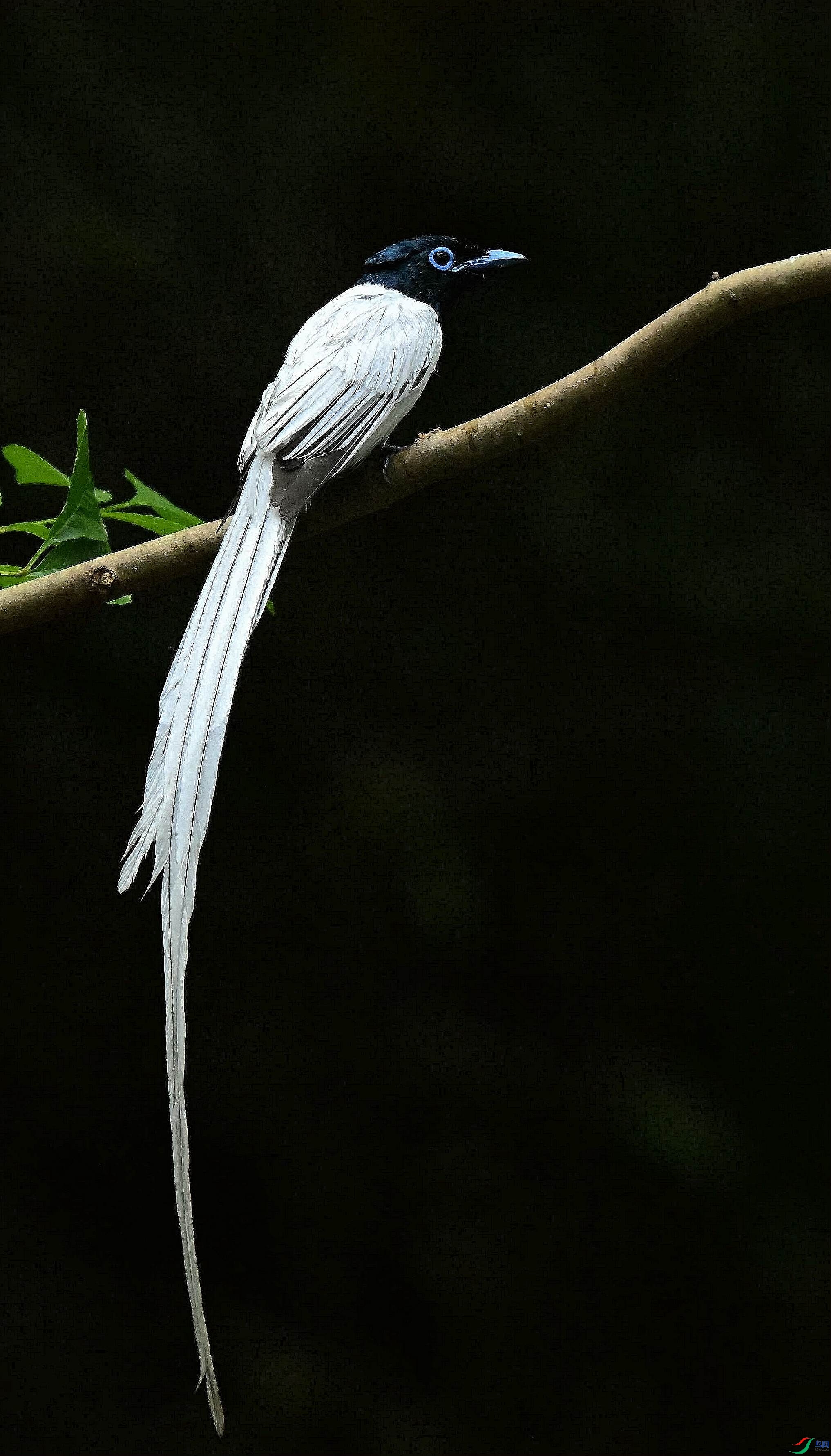DSC_4753.jpg