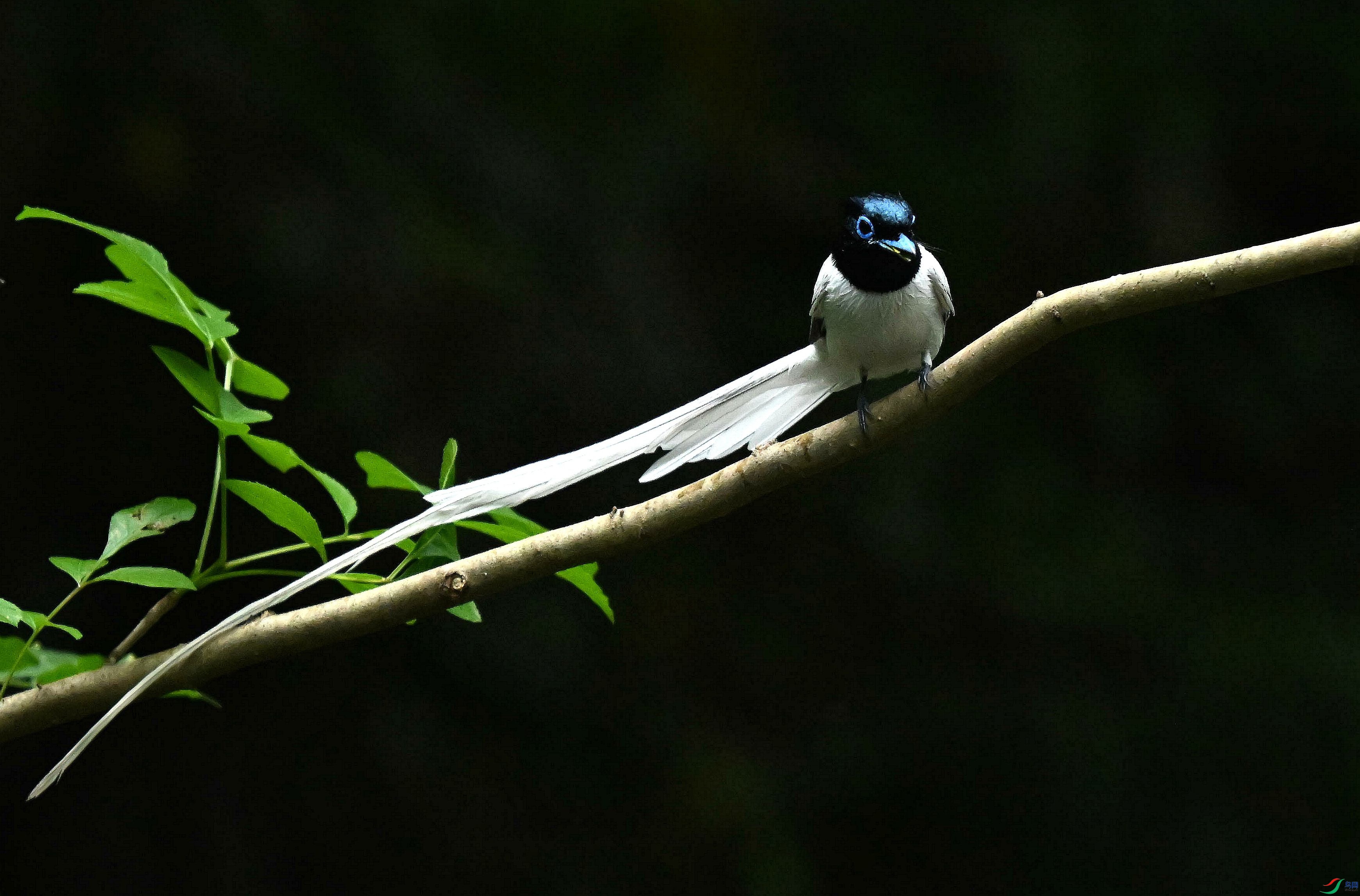 DSC_4673.jpg