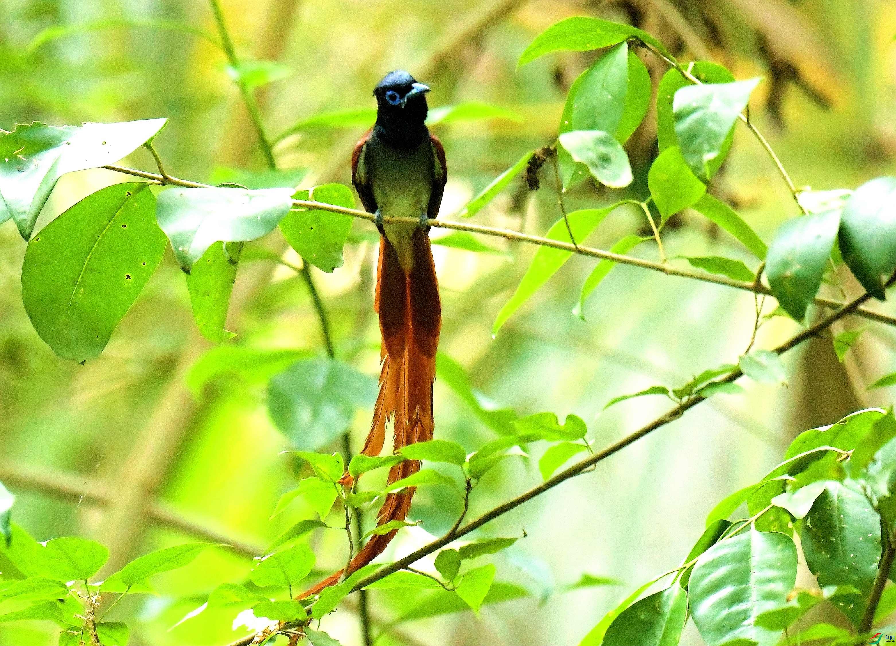 DSC_2336.JPG