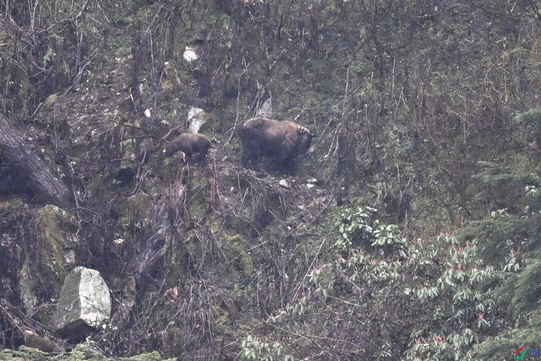 DSC_0660.JPG